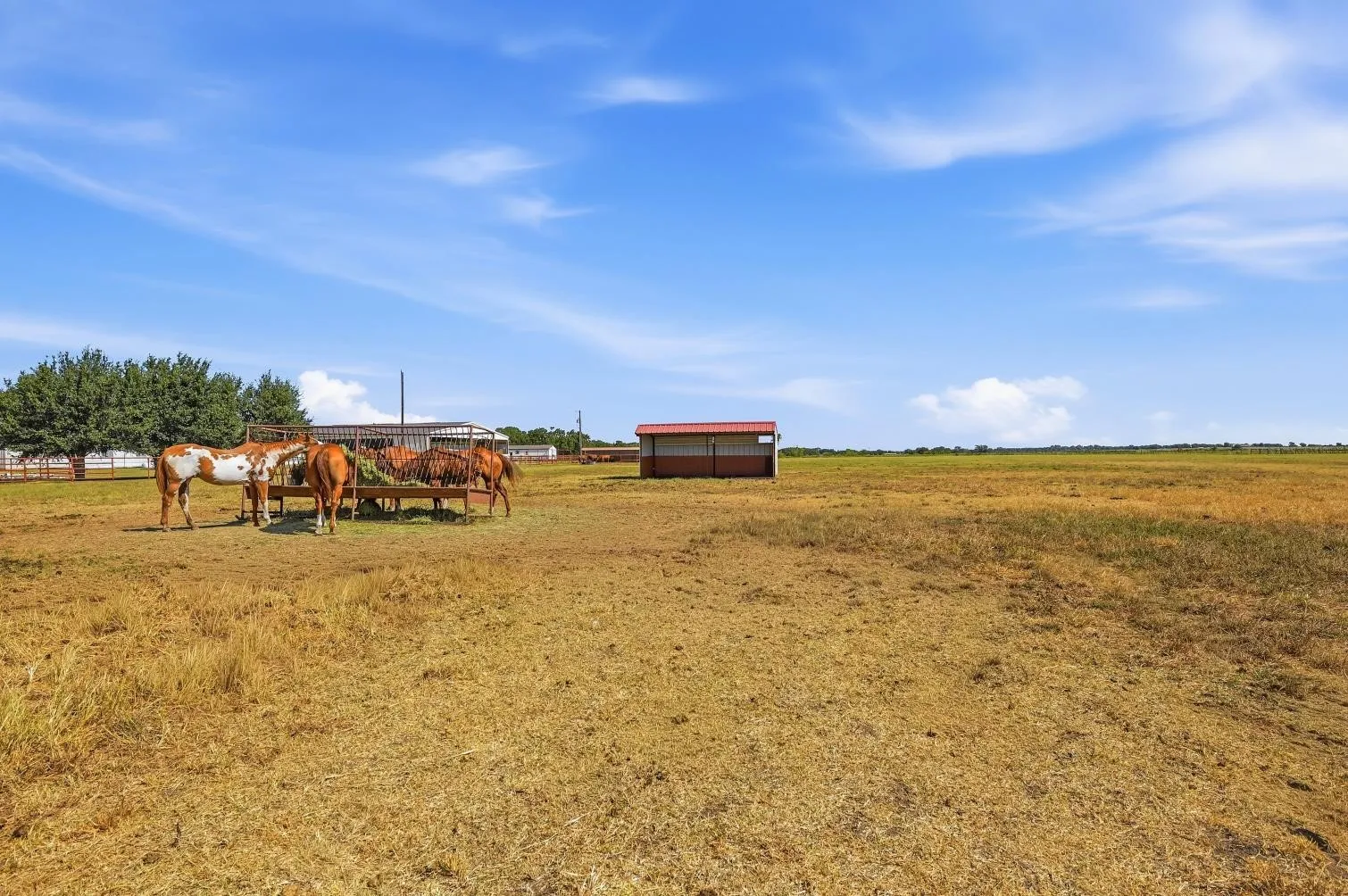 Expansive open field with a metal-sided utility building and distant tree line