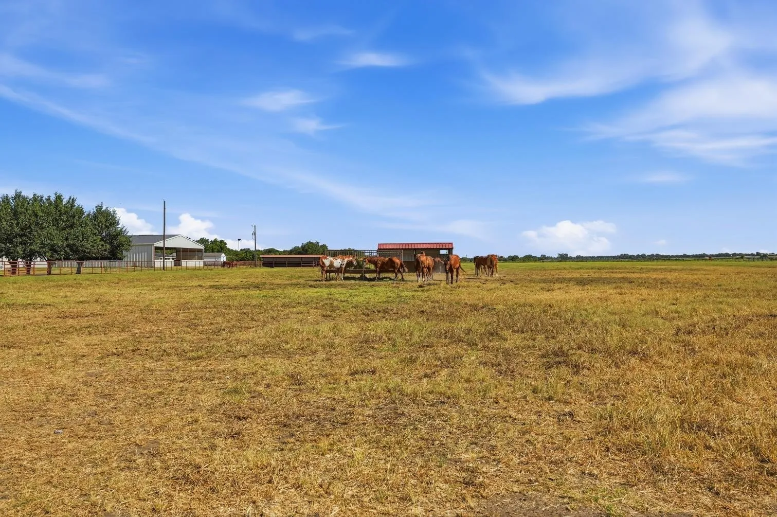 Expansive open field with scattered buildings and mature trees
