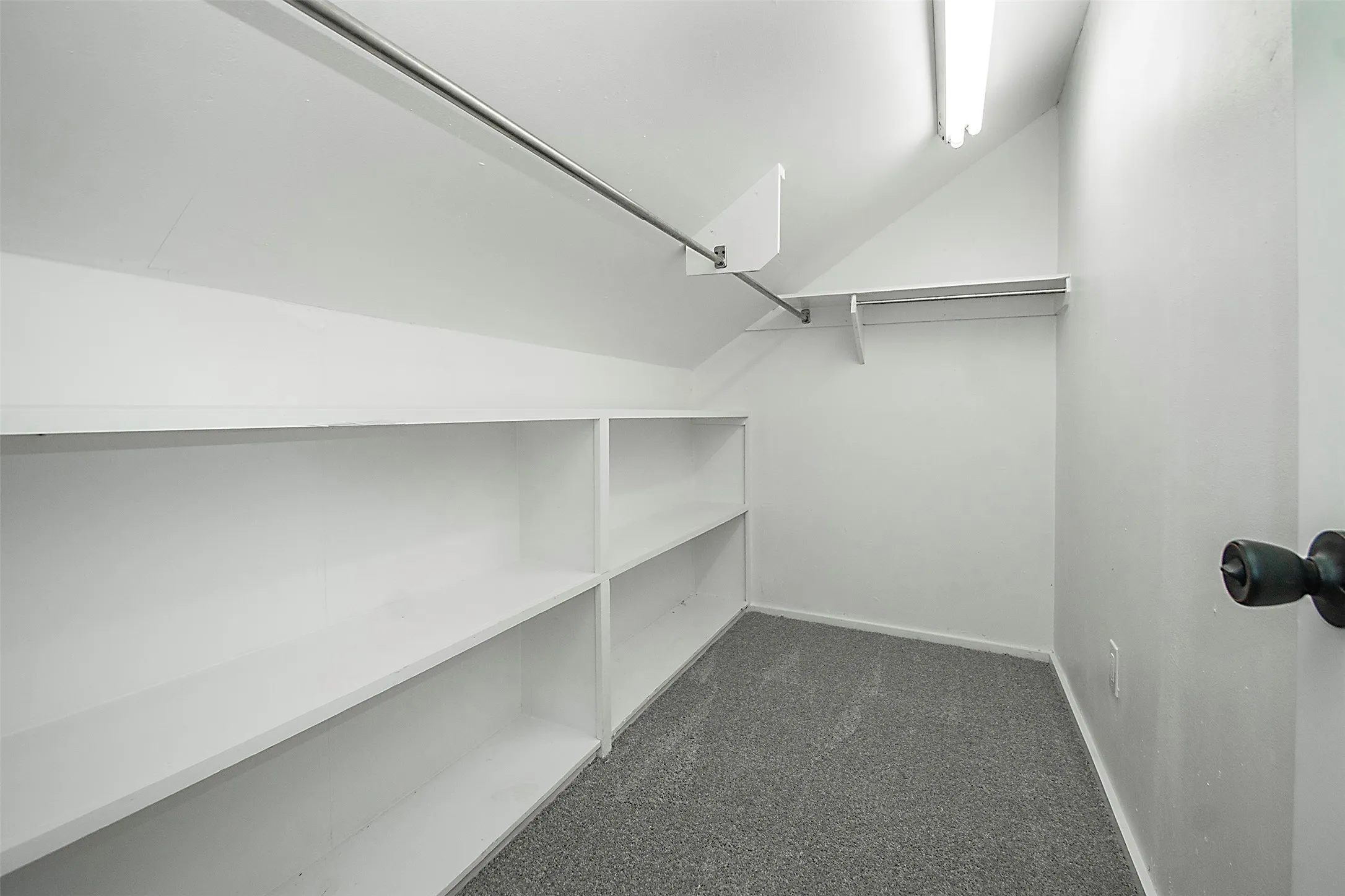 Built-in shelving, carpet flooring, overhead lighting, and clothing rod