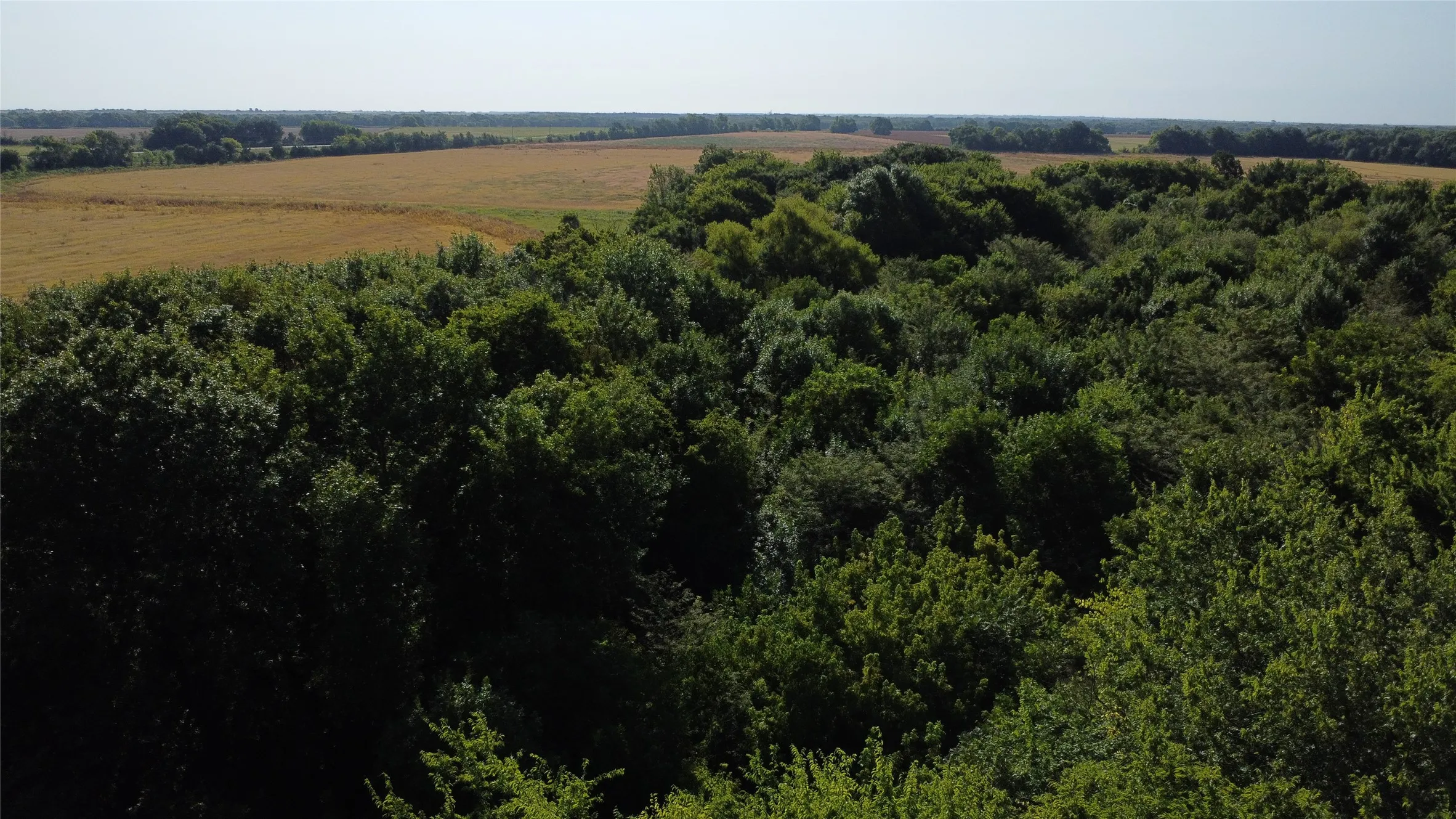 Unimproved Land For Sale in Lamar County , 0000 Highway 271, Deport, Texas 75435, 0, 0, Garage spaces, 0 Sqft, built in 0, Price $595,000, mls#21356094, Real Estate Agent in Deport, Homes For Sale in Lamar county, Homes For Sale in Deport, Realtor in Deport Texas, Real Estate Brokerage Independent Realty Texas, Luminita Cordes Realtor
