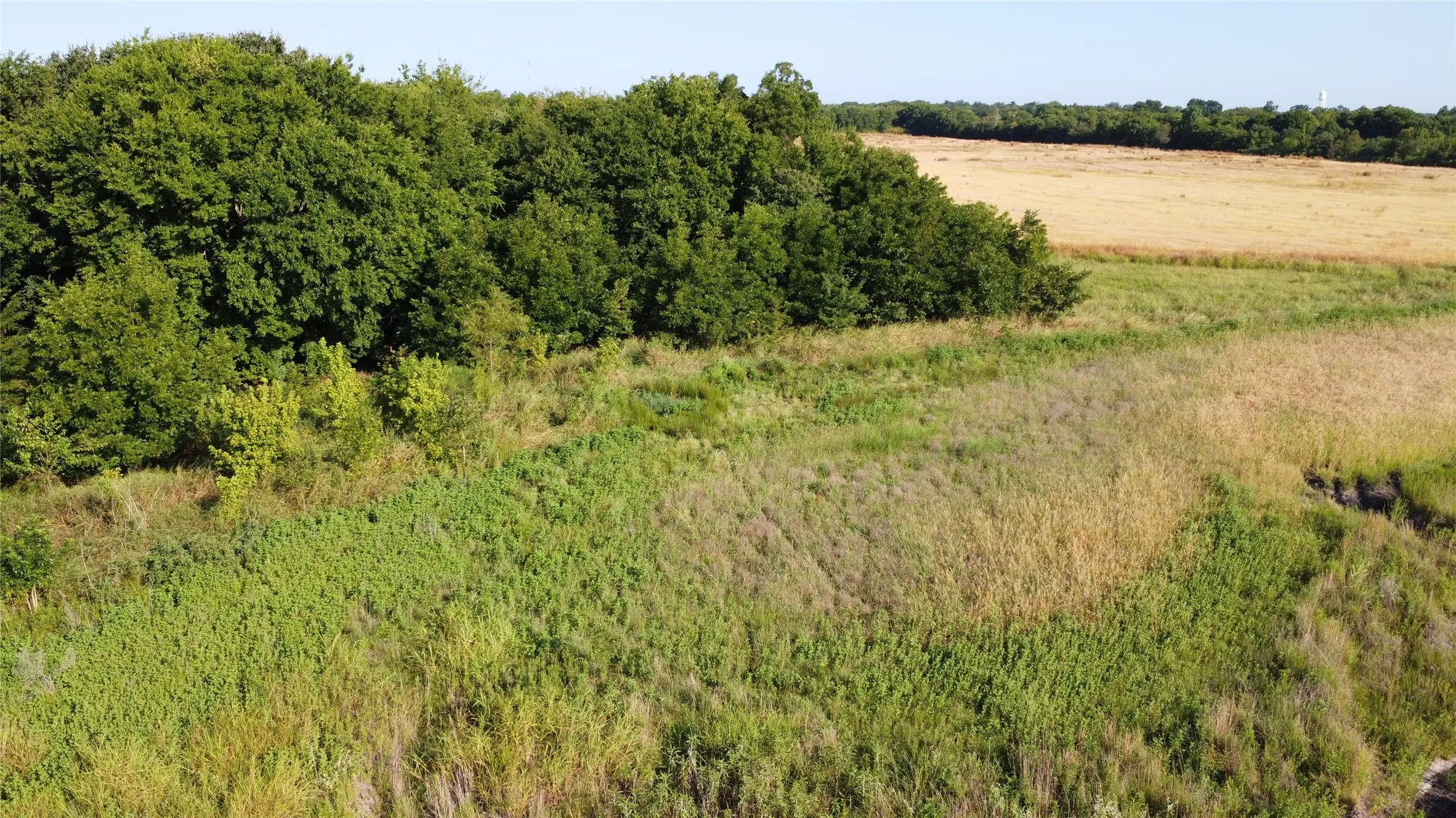 Unimproved Land For Sale in Lamar County , 0000 Highway 271, Deport, Texas 75435, 0, 0, Garage spaces, 0 Sqft, built in 0, Price $595,000, mls#21356094, Real Estate Agent in Deport, Homes For Sale in Lamar county, Homes For Sale in Deport, Realtor in Deport Texas, Real Estate Brokerage Independent Realty Texas, Luminita Cordes Realtor