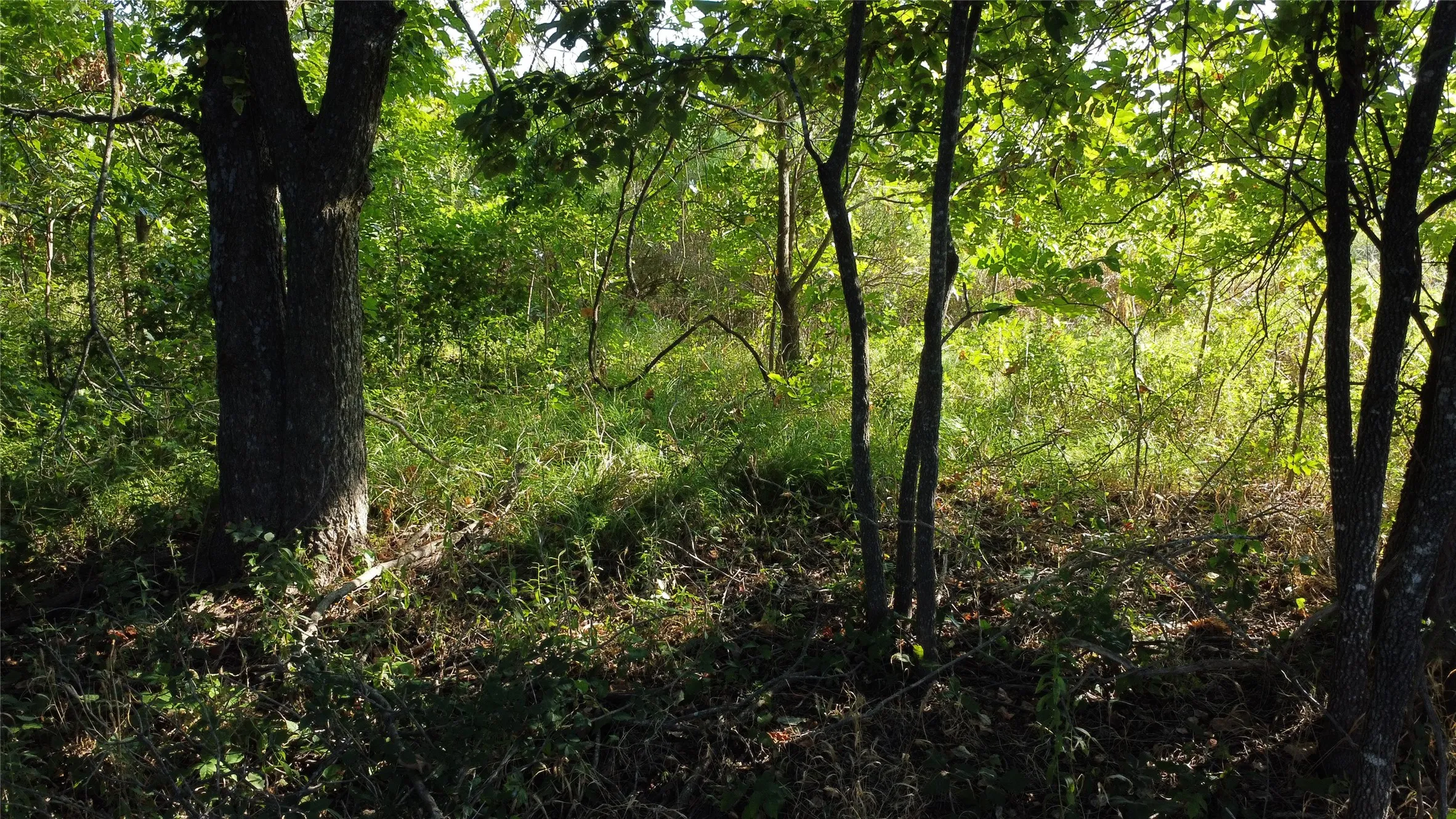 Unimproved Land For Sale in Lamar County , 0000 Highway 271, Deport, Texas 75435, 0, 0, Garage spaces, 0 Sqft, built in 0, Price $595,000, mls#21356094, Real Estate Agent in Deport, Homes For Sale in Lamar county, Homes For Sale in Deport, Realtor in Deport Texas, Real Estate Brokerage Independent Realty Texas, Luminita Cordes Realtor