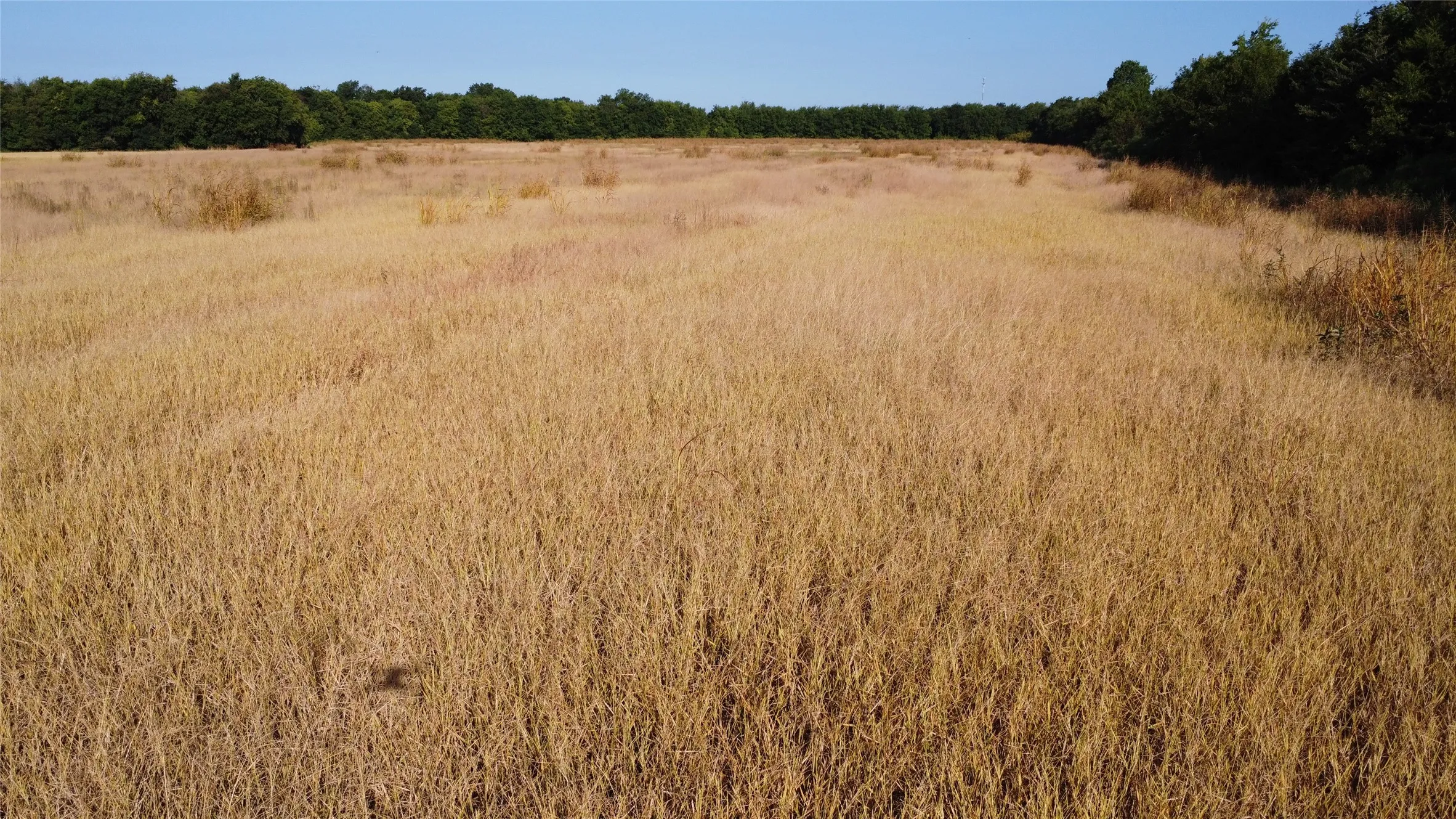 Unimproved Land For Sale in Lamar County , 0000 Highway 271, Deport, Texas 75435, 0, 0, Garage spaces, 0 Sqft, built in 0, Price $595,000, mls#21356094, Real Estate Agent in Deport, Homes For Sale in Lamar county, Homes For Sale in Deport, Realtor in Deport Texas, Real Estate Brokerage Independent Realty Texas, Luminita Cordes Realtor