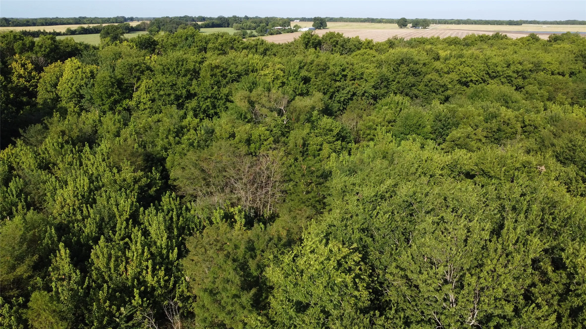 Unimproved Land For Sale in Lamar County , 0000 Highway 271, Deport, Texas 75435, 0, 0, Garage spaces, 0 Sqft, built in 0, Price $595,000, mls#21356094, Real Estate Agent in Deport, Homes For Sale in Lamar county, Homes For Sale in Deport, Realtor in Deport Texas, Real Estate Brokerage Independent Realty Texas, Luminita Cordes Realtor