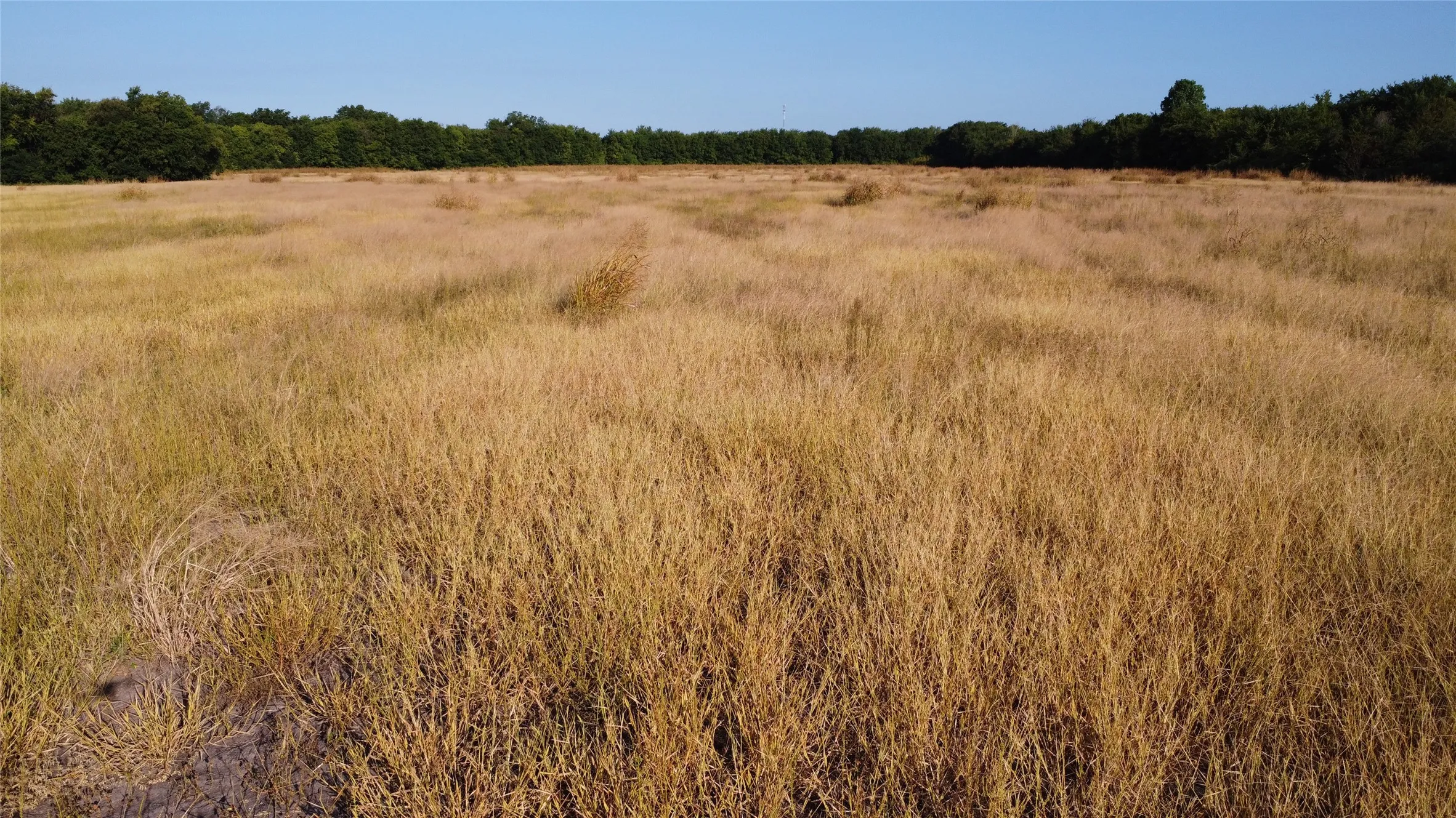 Unimproved Land For Sale in Lamar County , 0000 Highway 271, Deport, Texas 75435, 0, 0, Garage spaces, 0 Sqft, built in 0, Price $595,000, mls#21356094, Real Estate Agent in Deport, Homes For Sale in Lamar county, Homes For Sale in Deport, Realtor in Deport Texas, Real Estate Brokerage Independent Realty Texas, Luminita Cordes Realtor