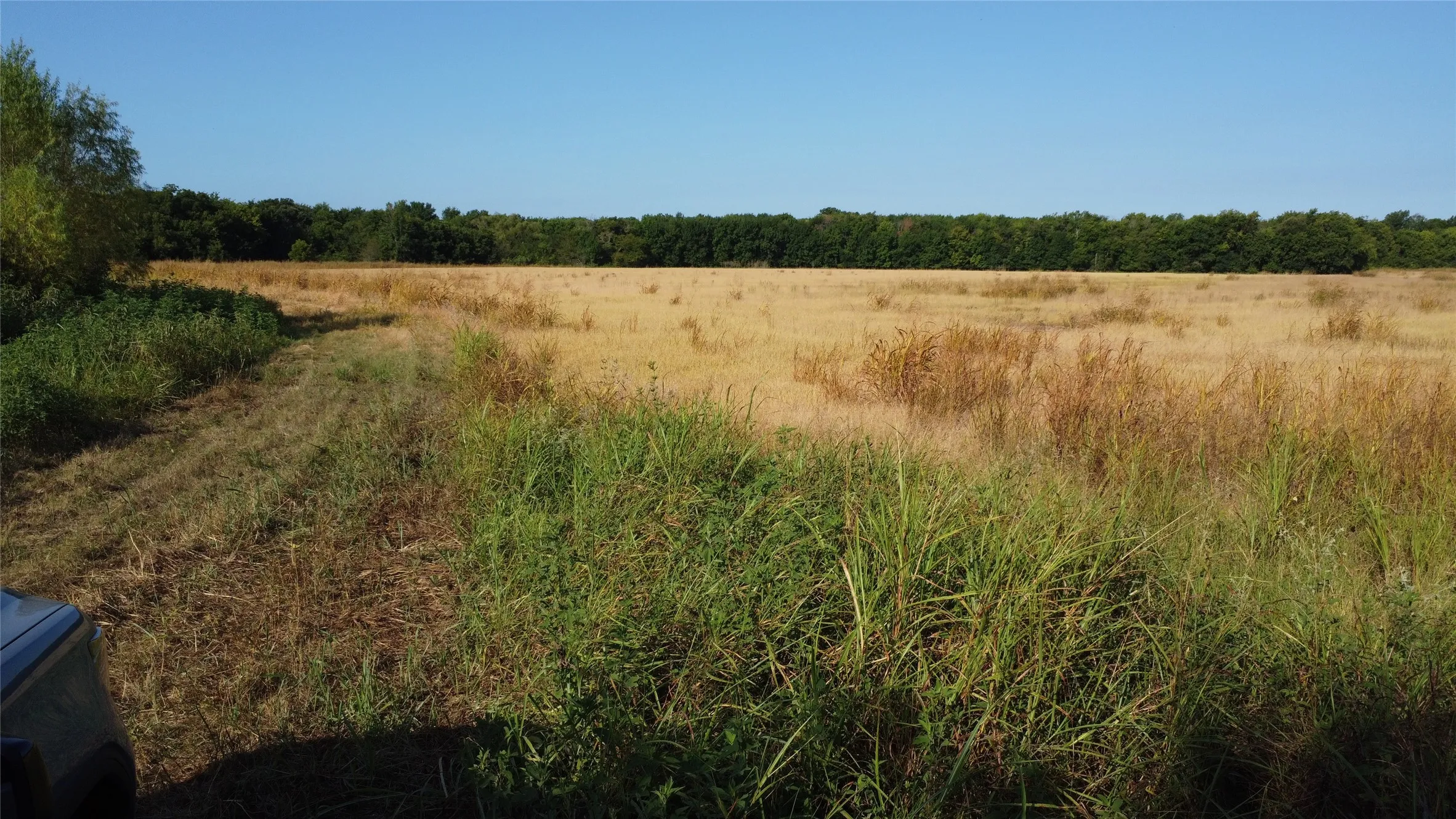 Unimproved Land For Sale in Lamar County , 0000 Highway 271, Deport, Texas 75435, 0, 0, Garage spaces, 0 Sqft, built in 0, Price $595,000, mls#21356094, Real Estate Agent in Deport, Homes For Sale in Lamar county, Homes For Sale in Deport, Realtor in Deport Texas, Real Estate Brokerage Independent Realty Texas, Luminita Cordes Realtor