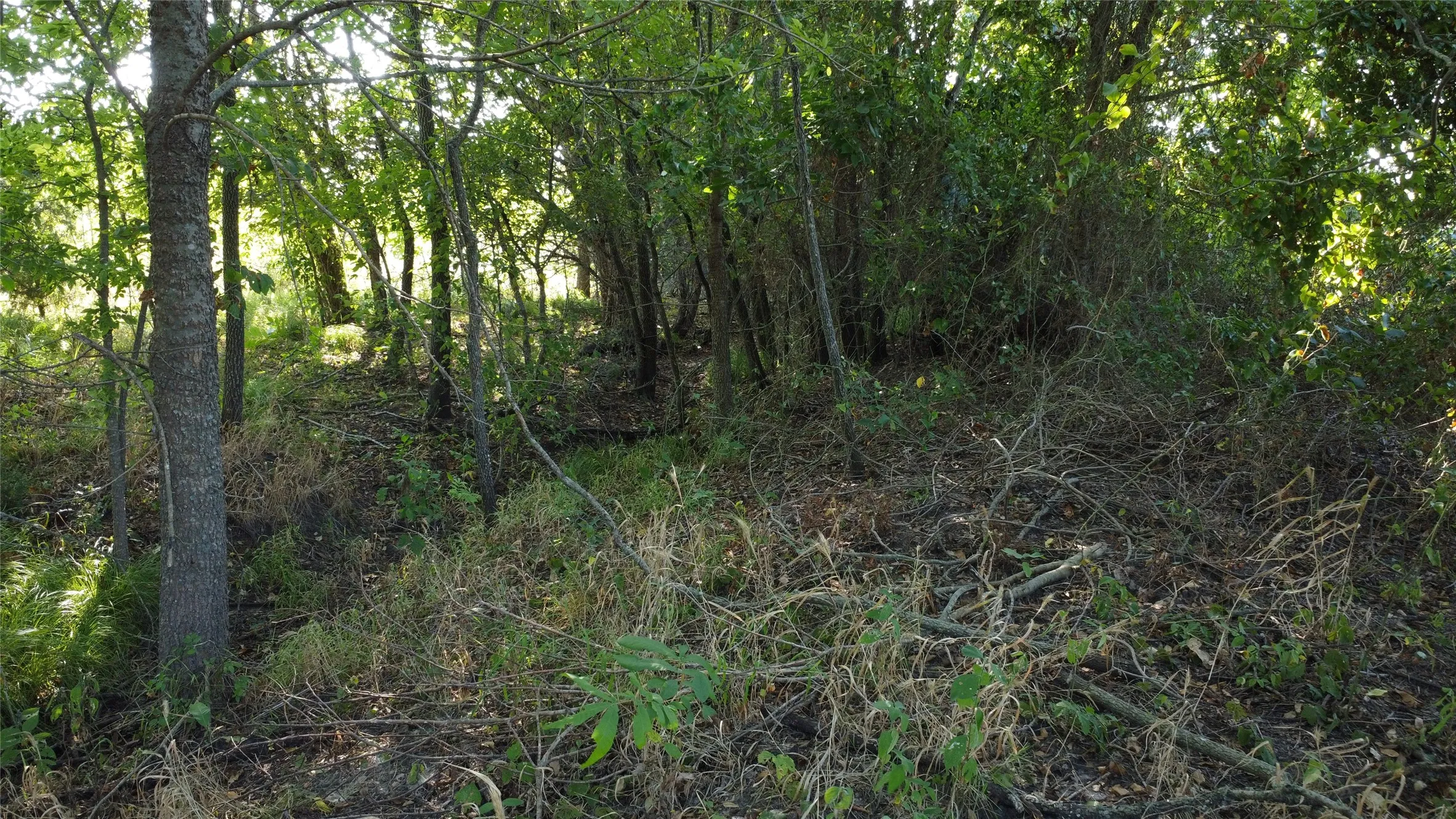 Unimproved Land For Sale in Lamar County , 0000 Highway 271, Deport, Texas 75435, 0, 0, Garage spaces, 0 Sqft, built in 0, Price $595,000, mls#21356094, Real Estate Agent in Deport, Homes For Sale in Lamar county, Homes For Sale in Deport, Realtor in Deport Texas, Real Estate Brokerage Independent Realty Texas, Luminita Cordes Realtor