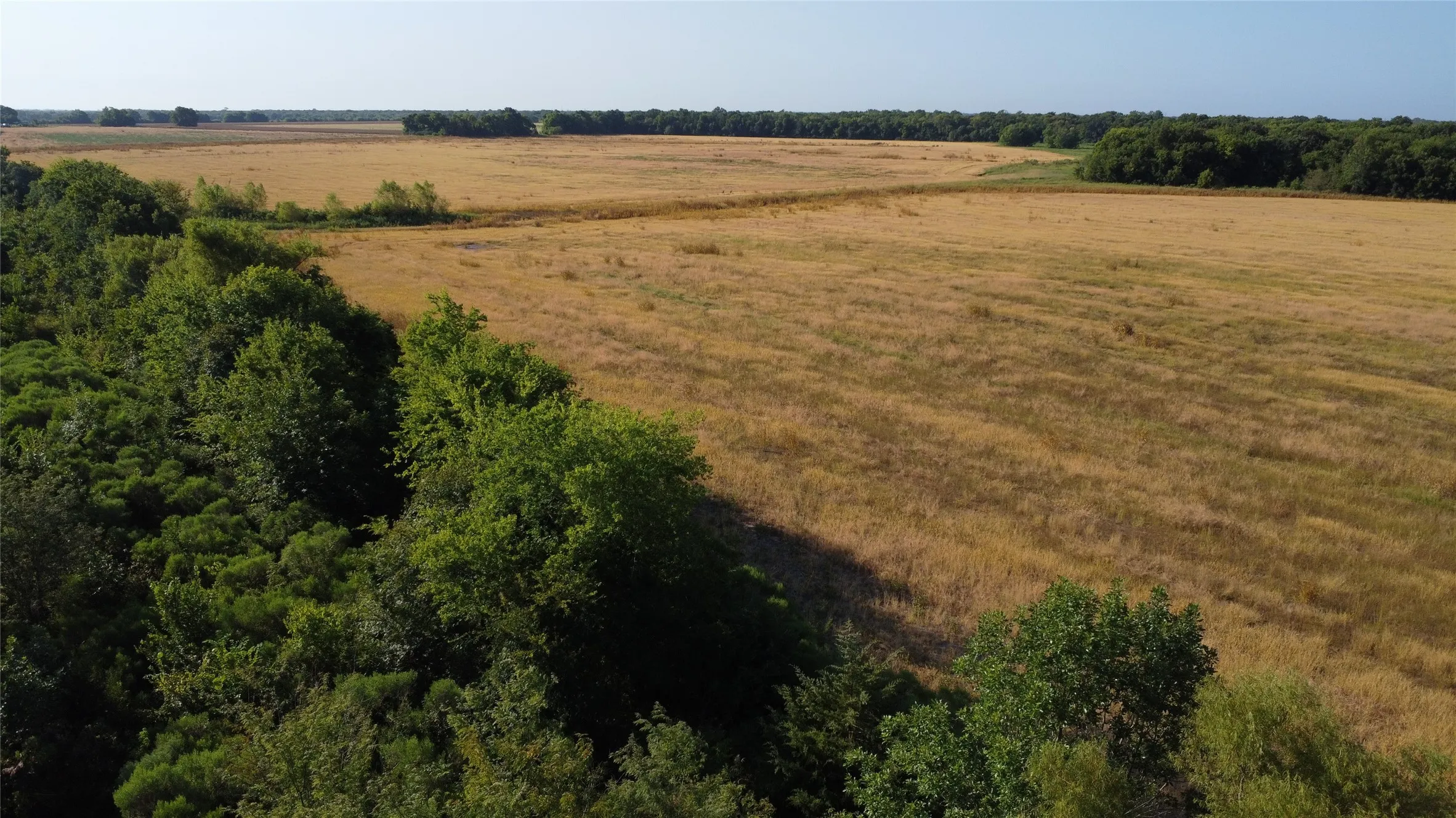 Unimproved Land For Sale in Lamar County , 0000 Highway 271, Deport, Texas 75435, 0, 0, Garage spaces, 0 Sqft, built in 0, Price $595,000, mls#21356094, Real Estate Agent in Deport, Homes For Sale in Lamar county, Homes For Sale in Deport, Realtor in Deport Texas, Real Estate Brokerage Independent Realty Texas, Luminita Cordes Realtor