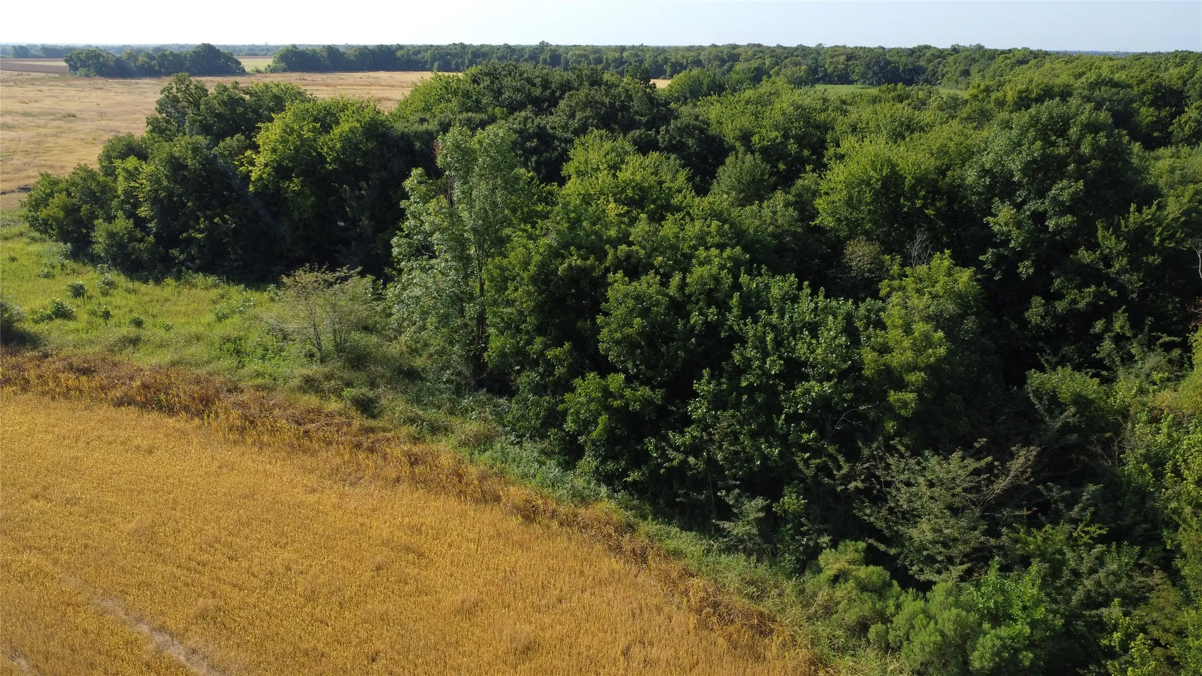 Unimproved Land For Sale in Lamar County , 0000 Highway 271, Deport, Texas 75435, 0, 0, Garage spaces, 0 Sqft, built in 0, Price $595,000, mls#21356094, Real Estate Agent in Deport, Homes For Sale in Lamar county, Homes For Sale in Deport, Realtor in Deport Texas, Real Estate Brokerage Independent Realty Texas, Luminita Cordes Realtor