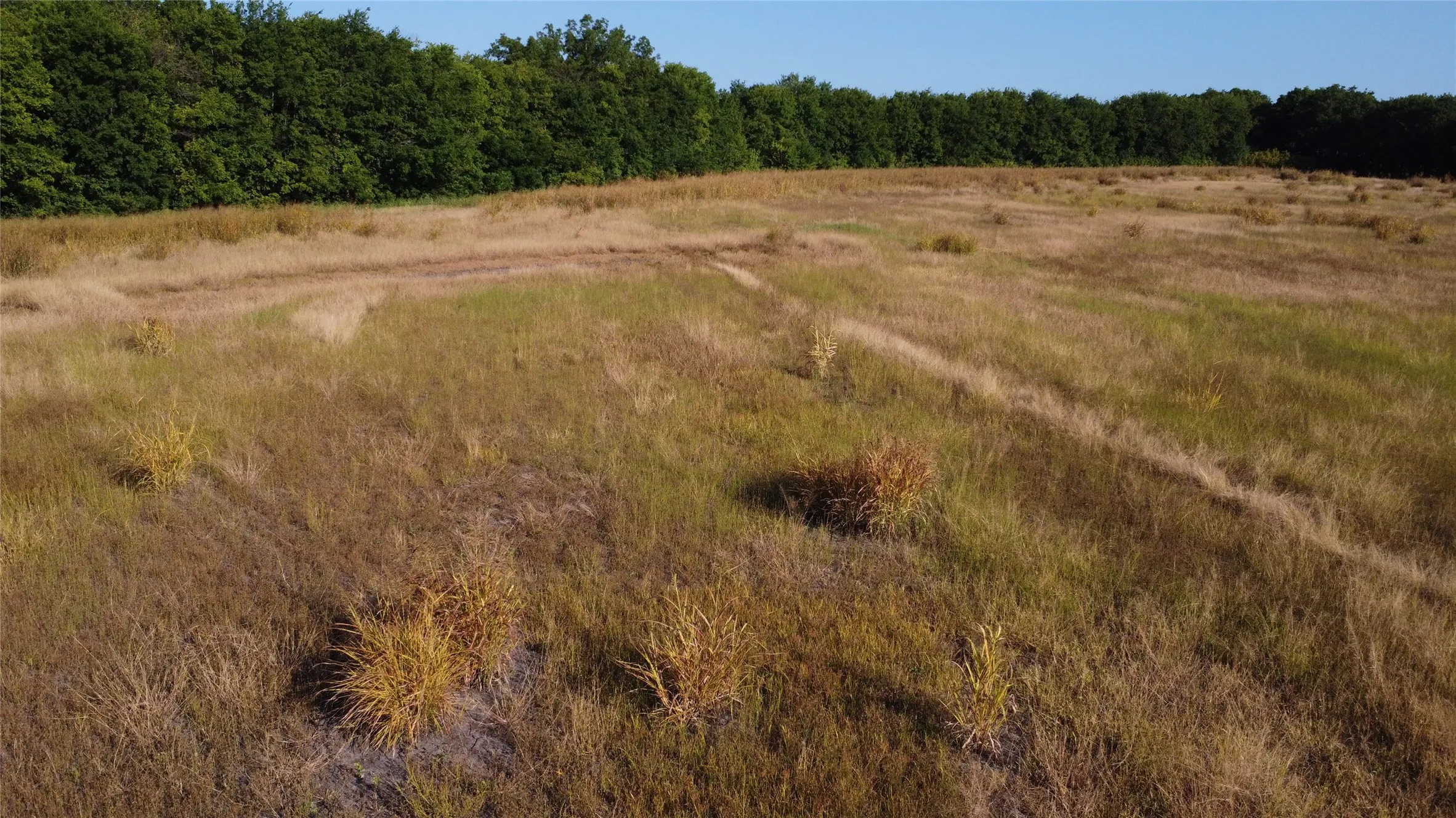 Unimproved Land For Sale in Lamar County , 0000 Highway 271, Deport, Texas 75435, 0, 0, Garage spaces, 0 Sqft, built in 0, Price $595,000, mls#21356094, Real Estate Agent in Deport, Homes For Sale in Lamar county, Homes For Sale in Deport, Realtor in Deport Texas, Real Estate Brokerage Independent Realty Texas, Luminita Cordes Realtor