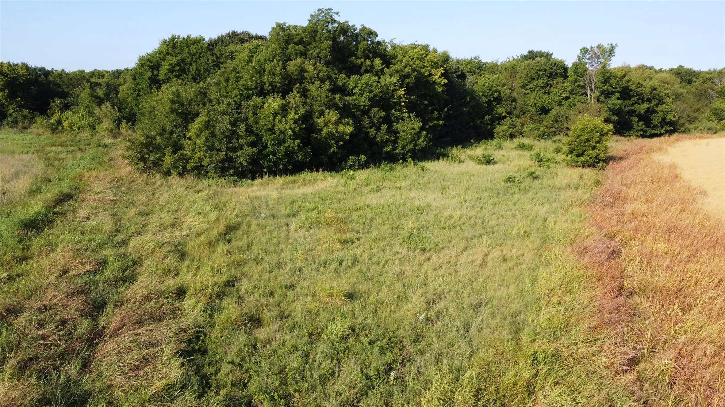 Unimproved Land For Sale in Lamar County , 0000 Highway 271, Deport, Texas 75435, 0, 0, Garage spaces, 0 Sqft, built in 0, Price $595,000, mls#21356094, Real Estate Agent in Deport, Homes For Sale in Lamar county, Homes For Sale in Deport, Realtor in Deport Texas, Real Estate Brokerage Independent Realty Texas, Luminita Cordes Realtor