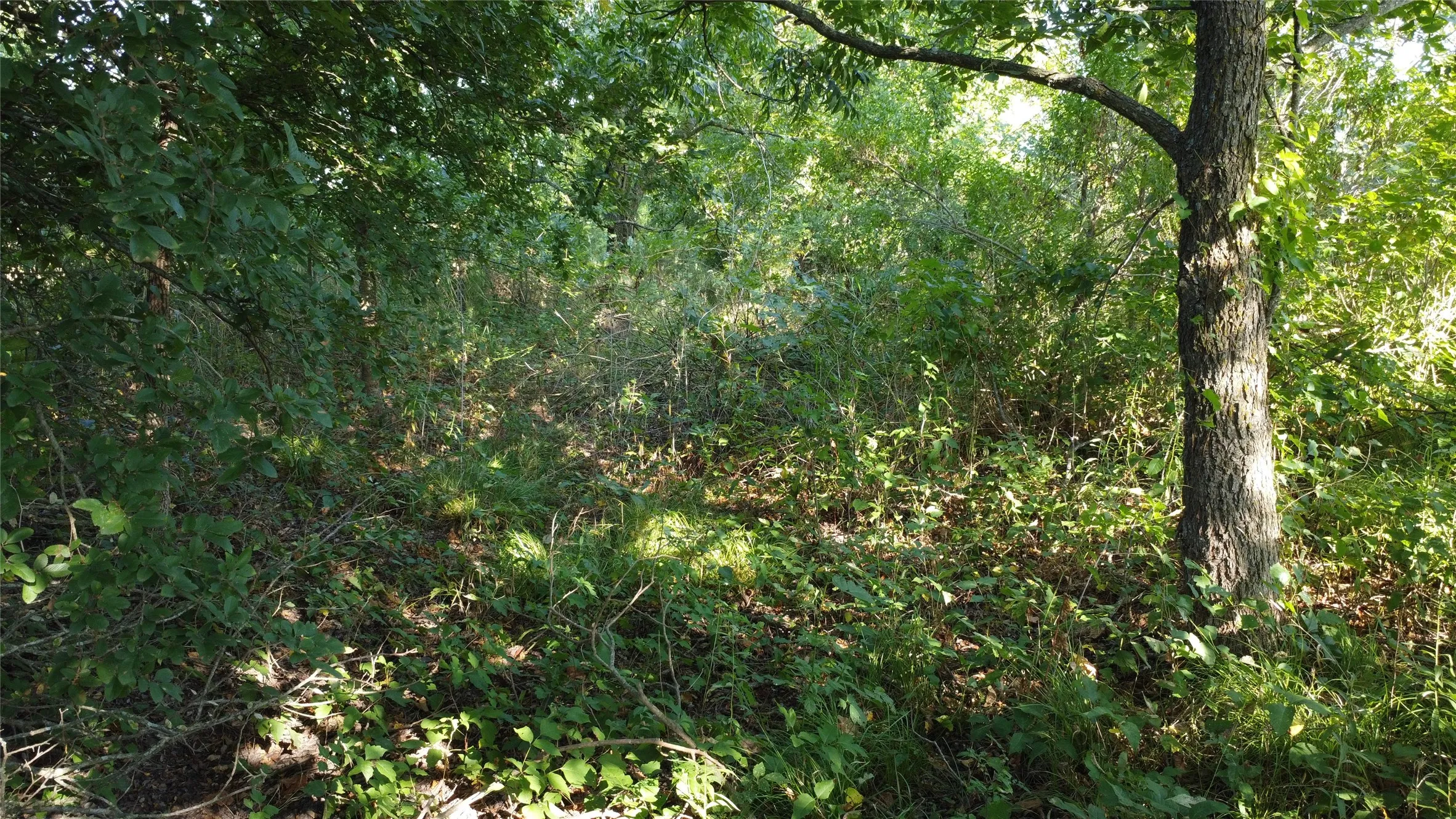 Unimproved Land For Sale in Lamar County , 0000 Highway 271, Deport, Texas 75435, 0, 0, Garage spaces, 0 Sqft, built in 0, Price $595,000, mls#21356094, Real Estate Agent in Deport, Homes For Sale in Lamar county, Homes For Sale in Deport, Realtor in Deport Texas, Real Estate Brokerage Independent Realty Texas, Luminita Cordes Realtor
