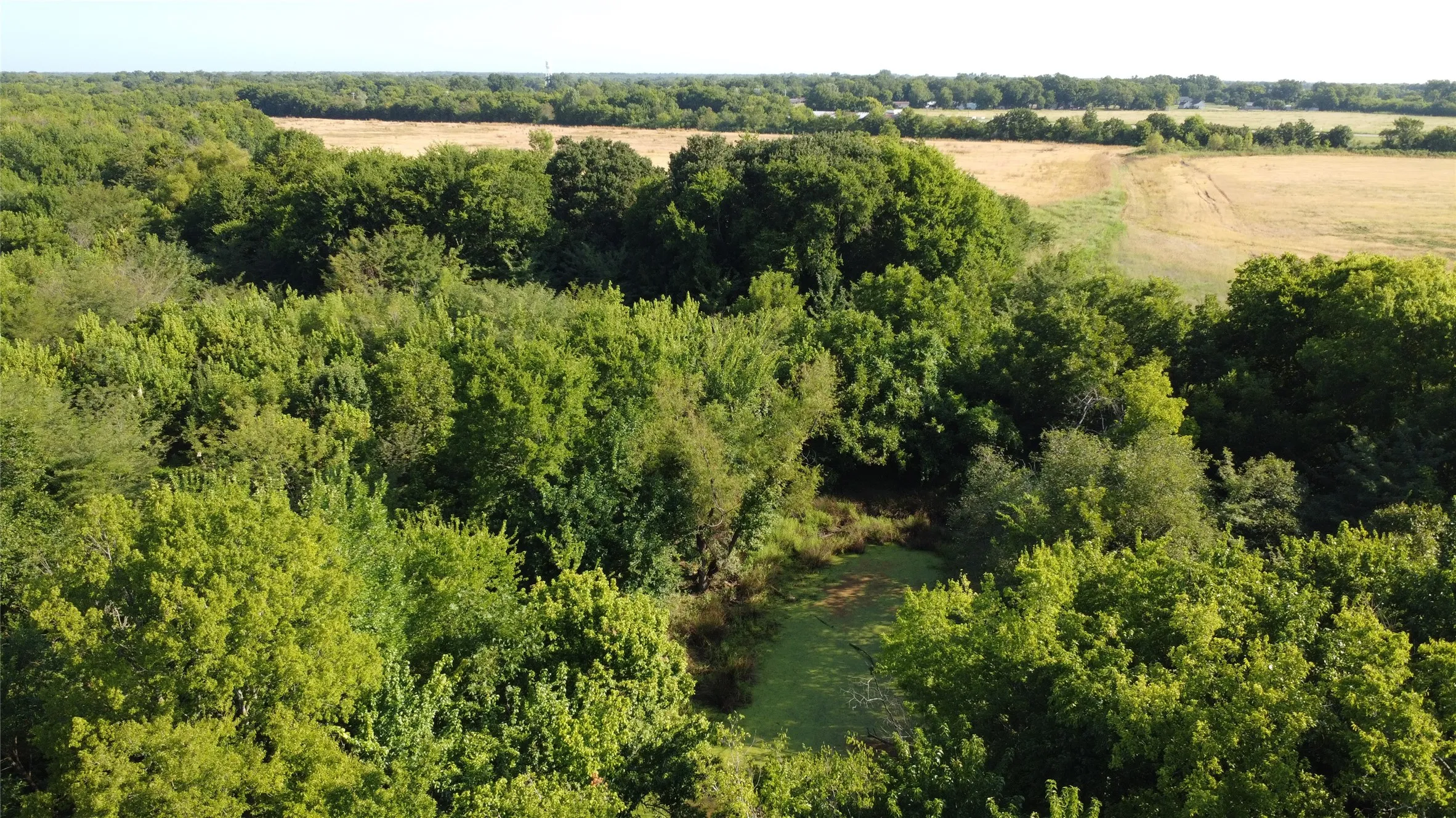 Unimproved Land For Sale in Lamar County , 0000 Highway 271, Deport, Texas 75435, 0, 0, Garage spaces, 0 Sqft, built in 0, Price $595,000, mls#21356094, Real Estate Agent in Deport, Homes For Sale in Lamar county, Homes For Sale in Deport, Realtor in Deport Texas, Real Estate Brokerage Independent Realty Texas, Luminita Cordes Realtor