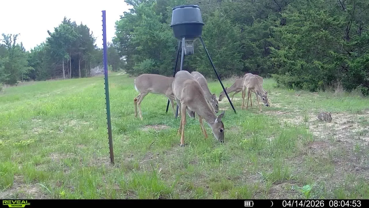 Wild life abundant and ag exempt!