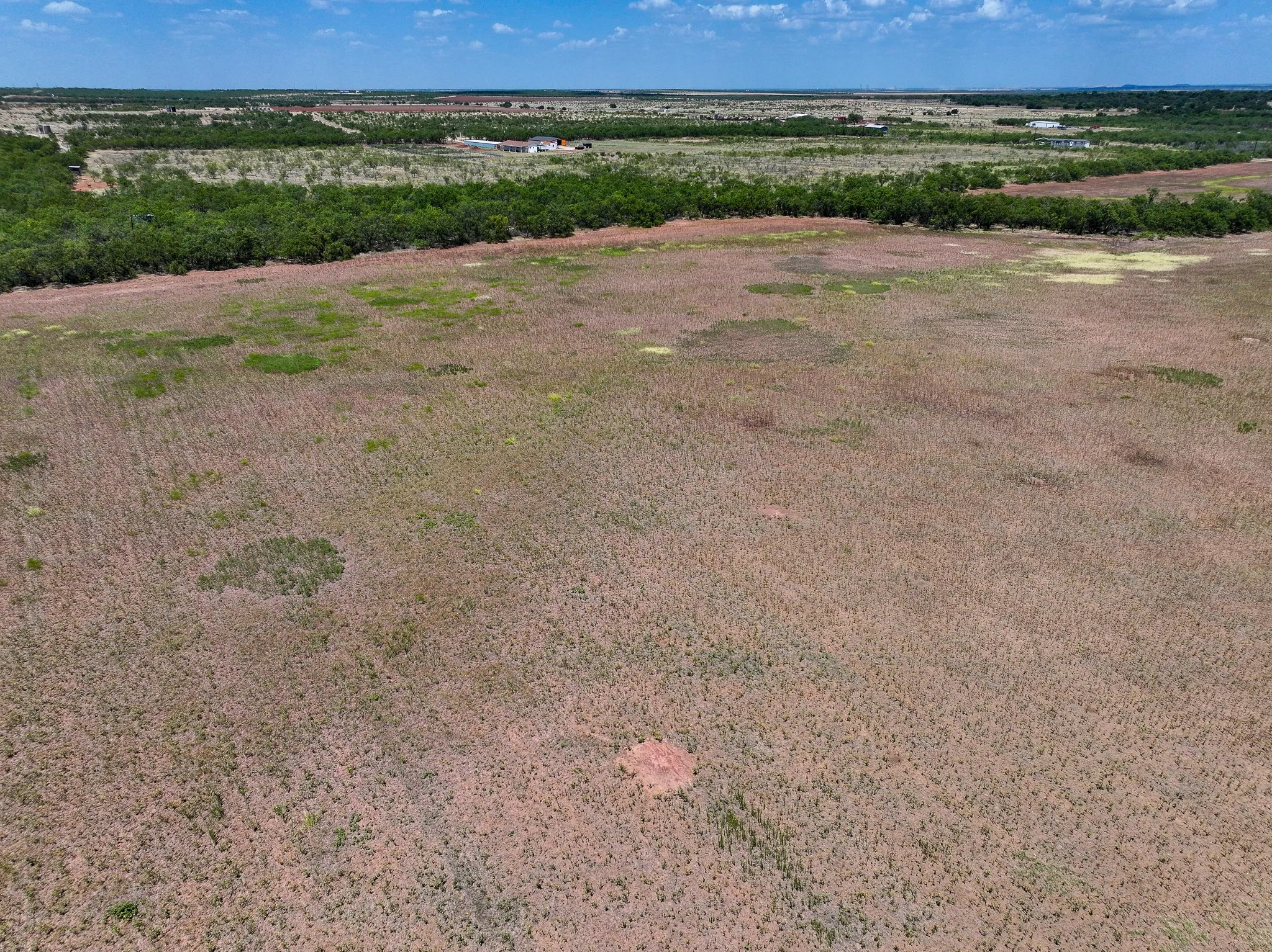Unimproved Land For Sale in Jones County , TBD 13+- Acres PR 3561, Anson, Texas 79501, 0, 0, Garage spaces, 0 Sqft, built in 0, Price $105,000, mls#21356161, Real Estate Agent in Anson, Homes For Sale in Jones county, Homes For Sale in Anson, Realtor in Anson Texas, Real Estate Brokerage Independent Realty Texas, Luminita Cordes Realtor