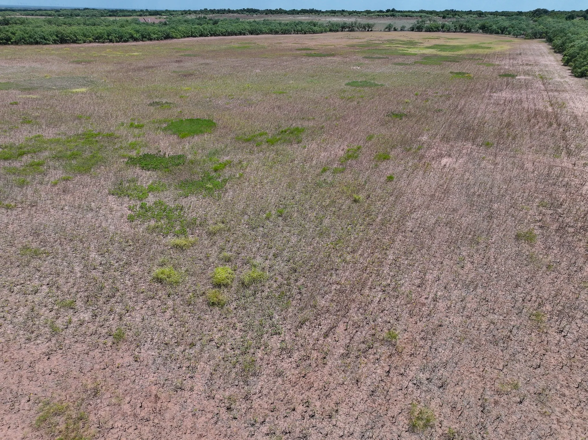 Unimproved Land For Sale in Jones County , TBD 13+- Acres PR 3561, Anson, Texas 79501, 0, 0, Garage spaces, 0 Sqft, built in 0, Price $105,000, mls#21356161, Real Estate Agent in Anson, Homes For Sale in Jones county, Homes For Sale in Anson, Realtor in Anson Texas, Real Estate Brokerage Independent Realty Texas, Luminita Cordes Realtor