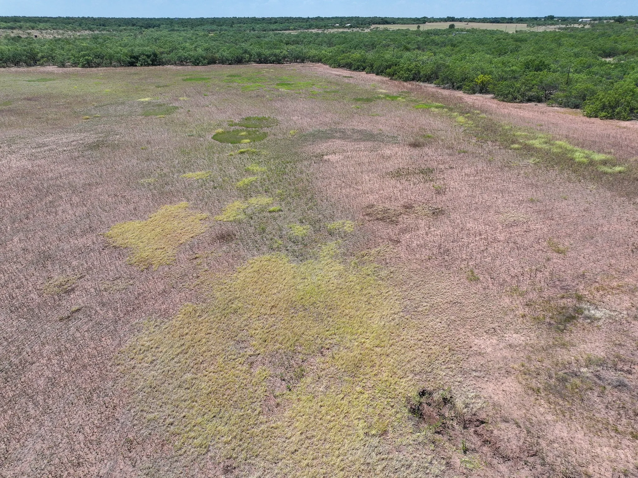 Unimproved Land For Sale in Jones County , TBD 13+- Acres PR 3561, Anson, Texas 79501, 0, 0, Garage spaces, 0 Sqft, built in 0, Price $105,000, mls#21356161, Real Estate Agent in Anson, Homes For Sale in Jones county, Homes For Sale in Anson, Realtor in Anson Texas, Real Estate Brokerage Independent Realty Texas, Luminita Cordes Realtor