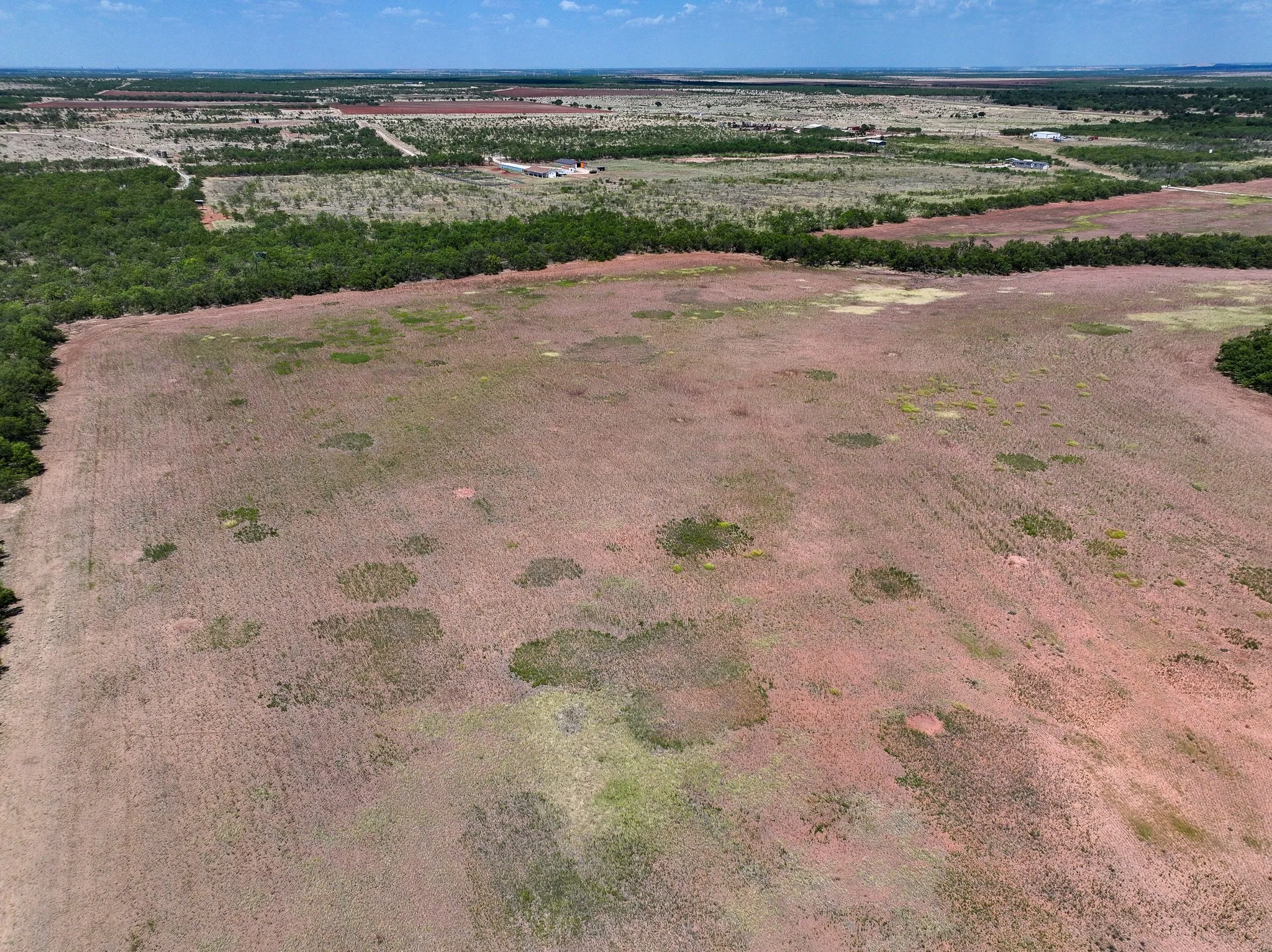 Unimproved Land For Sale in Jones County , TBD 13+- Acres PR 3561, Anson, Texas 79501, 0, 0, Garage spaces, 0 Sqft, built in 0, Price $105,000, mls#21356161, Real Estate Agent in Anson, Homes For Sale in Jones county, Homes For Sale in Anson, Realtor in Anson Texas, Real Estate Brokerage Independent Realty Texas, Luminita Cordes Realtor