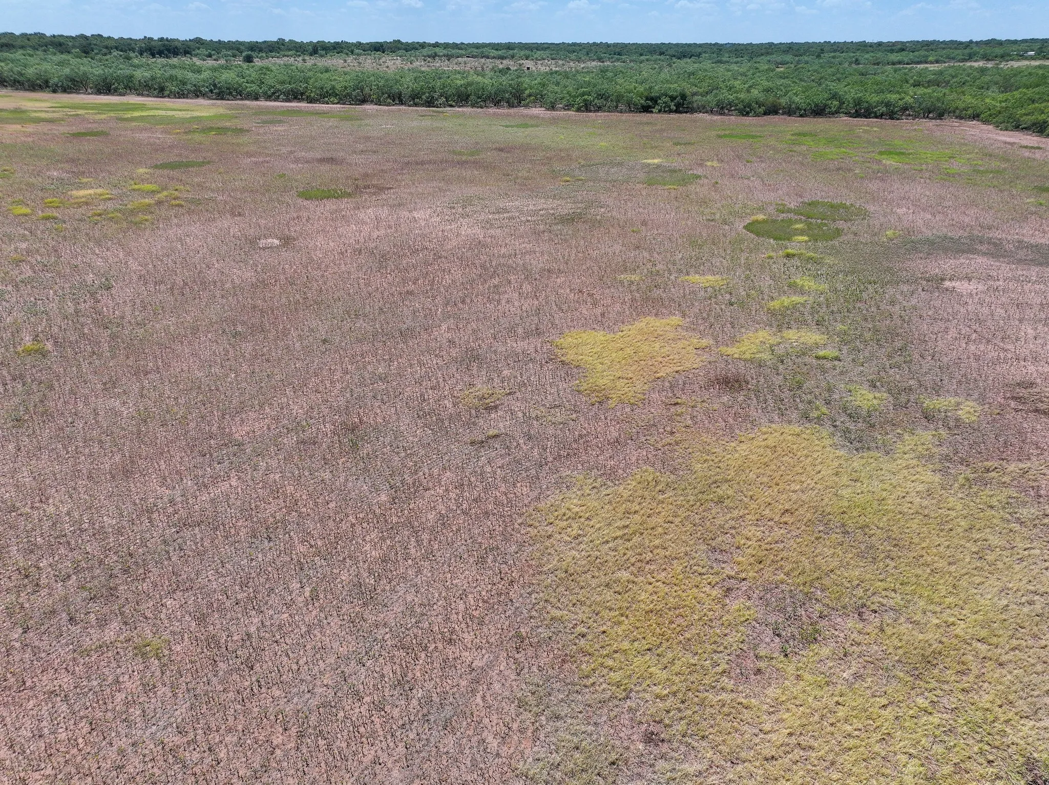 Unimproved Land For Sale in Jones County , TBD 13+- Acres PR 3561, Anson, Texas 79501, 0, 0, Garage spaces, 0 Sqft, built in 0, Price $105,000, mls#21356161, Real Estate Agent in Anson, Homes For Sale in Jones county, Homes For Sale in Anson, Realtor in Anson Texas, Real Estate Brokerage Independent Realty Texas, Luminita Cordes Realtor
