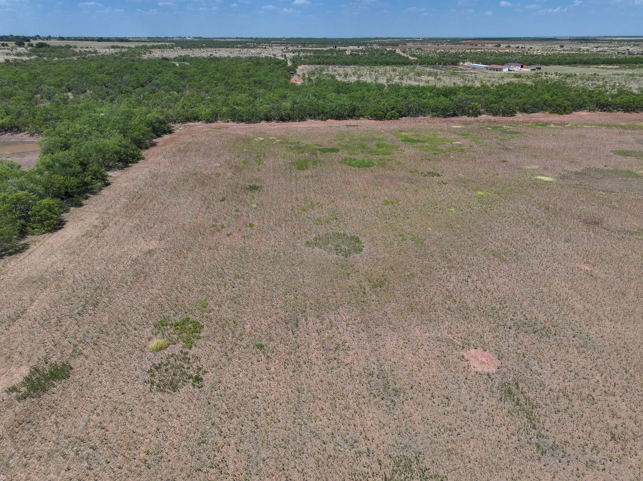Unimproved Land For Sale in Jones County , TBD 13+- Acres PR 3561, Anson, Texas 79501, 0, 0, Garage spaces, 0 Sqft, built in 0, Price $105,000, mls#21356161, Real Estate Agent in Anson, Homes For Sale in Jones county, Homes For Sale in Anson, Realtor in Anson Texas, Real Estate Brokerage Independent Realty Texas, Luminita Cordes Realtor