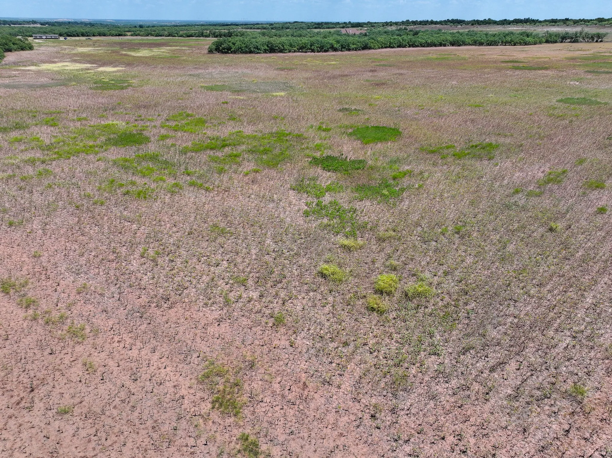 Unimproved Land For Sale in Jones County , TBD 13+- Acres PR 3561, Anson, Texas 79501, 0, 0, Garage spaces, 0 Sqft, built in 0, Price $105,000, mls#21356161, Real Estate Agent in Anson, Homes For Sale in Jones county, Homes For Sale in Anson, Realtor in Anson Texas, Real Estate Brokerage Independent Realty Texas, Luminita Cordes Realtor