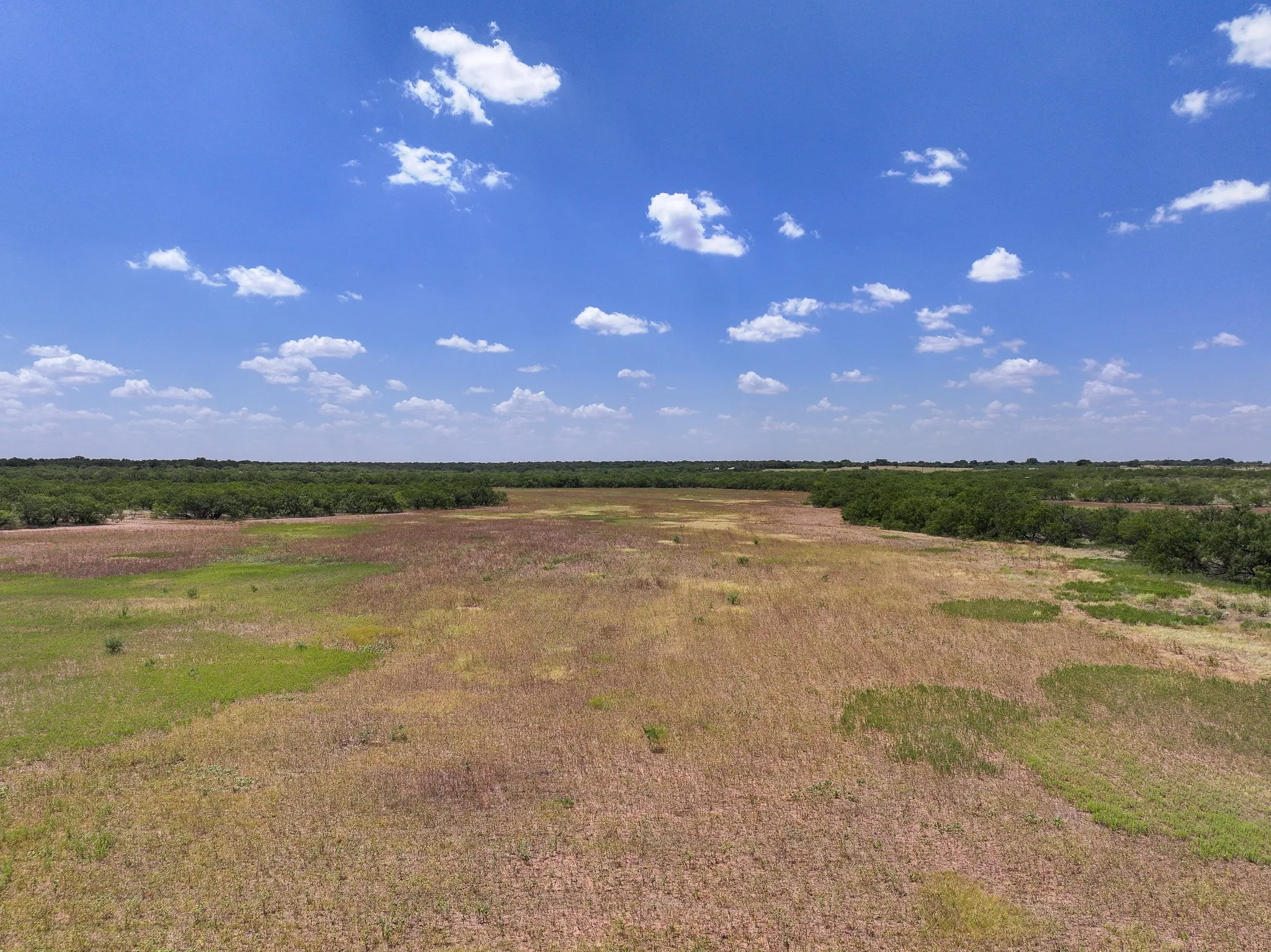 Unimproved Land For Sale in Jones County , TBD 13+- Acres PR 3561, Anson, Texas 79501, 0, 0, Garage spaces, 0 Sqft, built in 0, Price $105,000, mls#21356161, Real Estate Agent in Anson, Homes For Sale in Jones county, Homes For Sale in Anson, Realtor in Anson Texas, Real Estate Brokerage Independent Realty Texas, Luminita Cordes Realtor