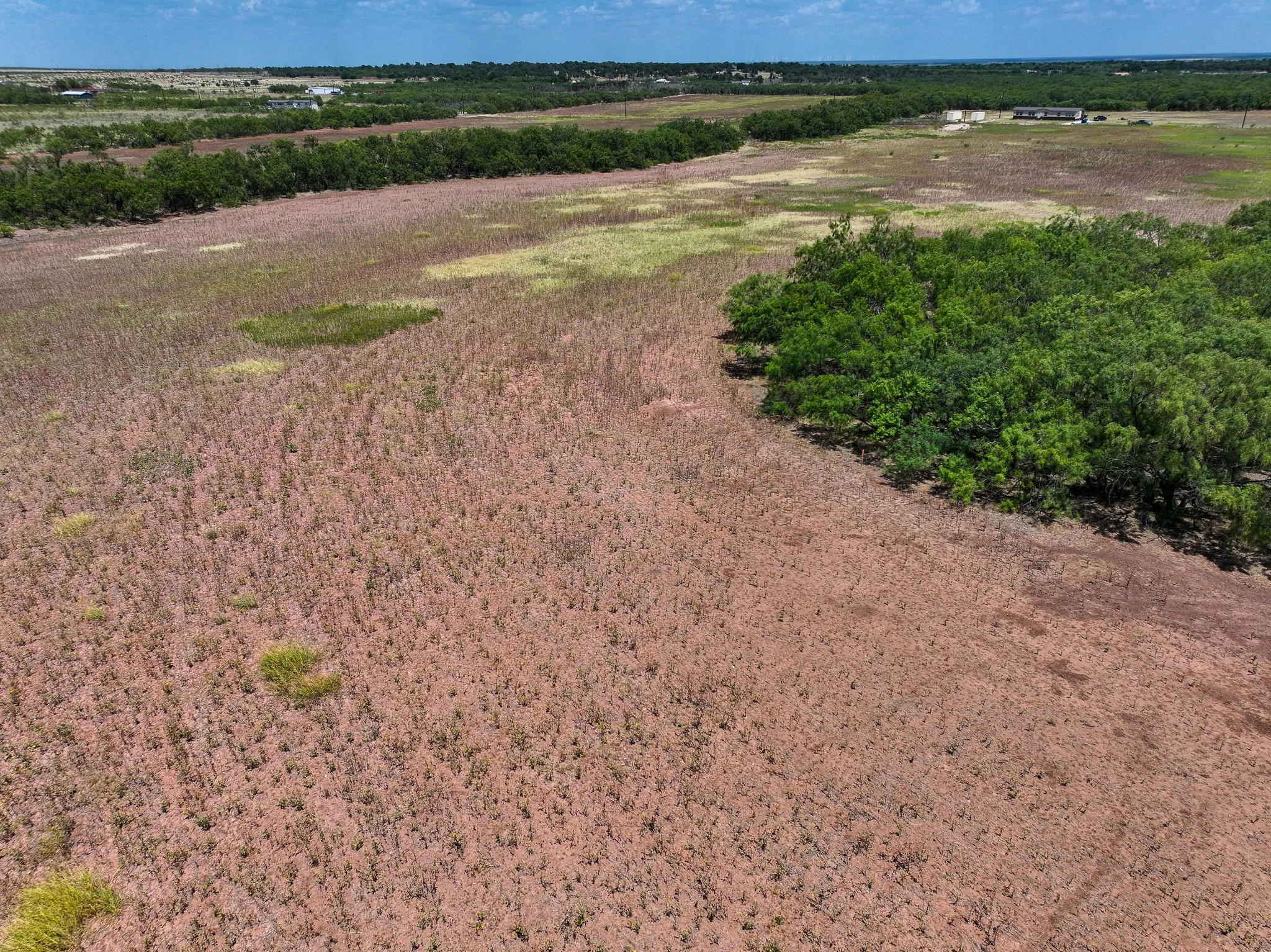 Unimproved Land For Sale in Jones County , TBD 13+- Acres PR 3561, Anson, Texas 79501, 0, 0, Garage spaces, 0 Sqft, built in 0, Price $105,000, mls#21356161, Real Estate Agent in Anson, Homes For Sale in Jones county, Homes For Sale in Anson, Realtor in Anson Texas, Real Estate Brokerage Independent Realty Texas, Luminita Cordes Realtor