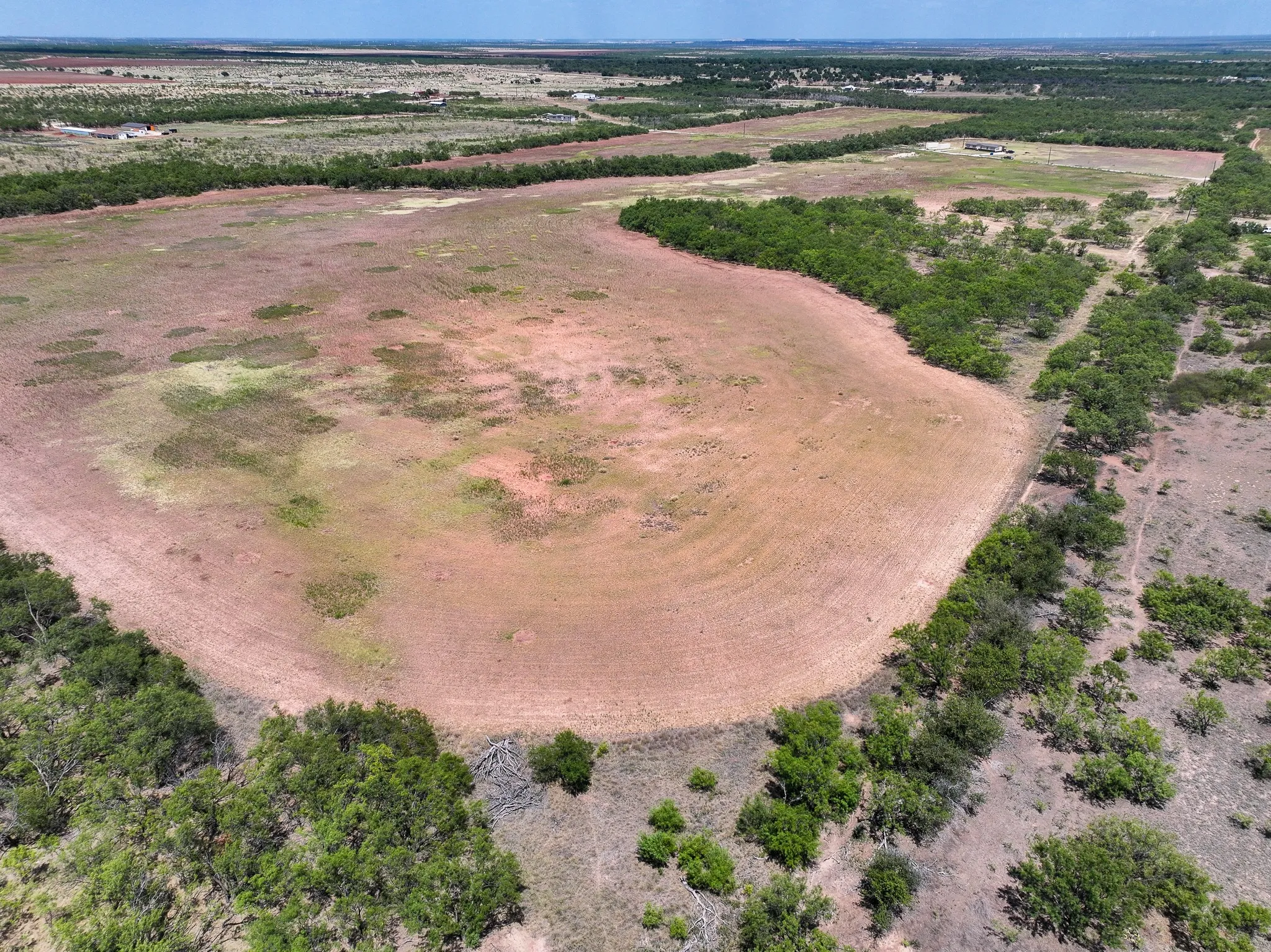 Unimproved Land For Sale in Jones County , TBD 13+- Acres PR 3561, Anson, Texas 79501, 0, 0, Garage spaces, 0 Sqft, built in 0, Price $105,000, mls#21356161, Real Estate Agent in Anson, Homes For Sale in Jones county, Homes For Sale in Anson, Realtor in Anson Texas, Real Estate Brokerage Independent Realty Texas, Luminita Cordes Realtor