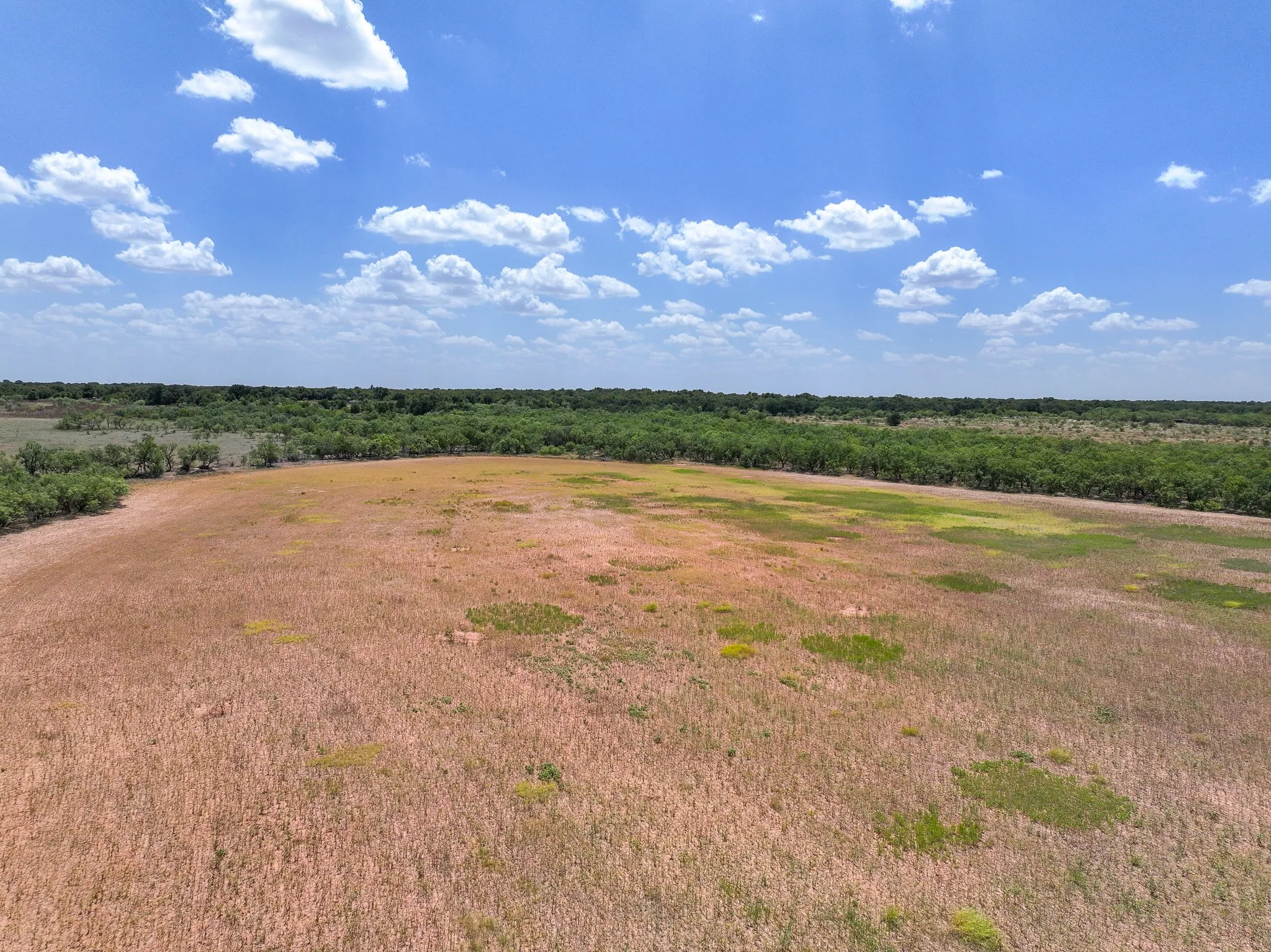 Unimproved Land For Sale in Jones County , TBD 13+- Acres PR 3561, Anson, Texas 79501, 0, 0, Garage spaces, 0 Sqft, built in 0, Price $105,000, mls#21356161, Real Estate Agent in Anson, Homes For Sale in Jones county, Homes For Sale in Anson, Realtor in Anson Texas, Real Estate Brokerage Independent Realty Texas, Luminita Cordes Realtor