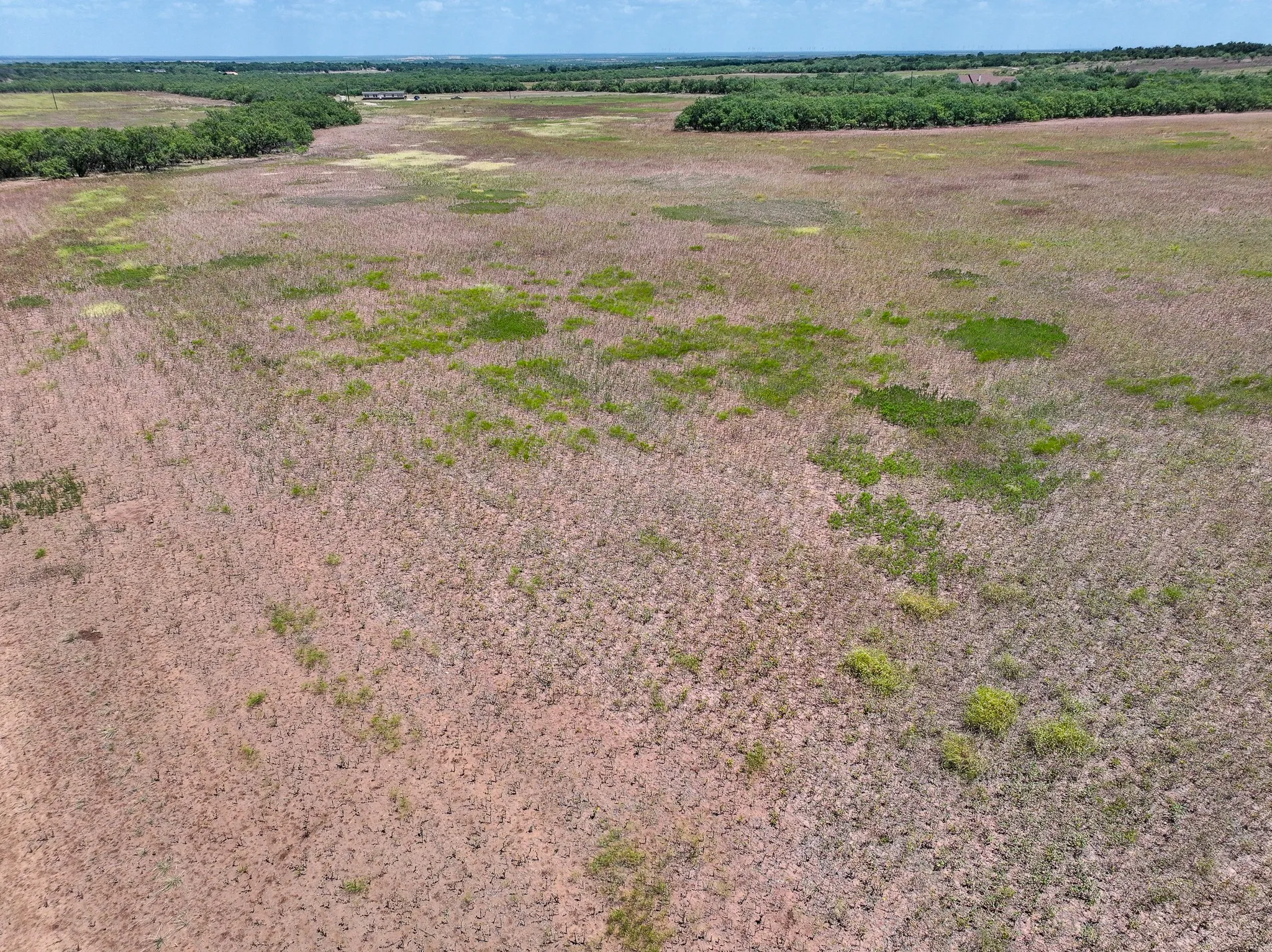 Unimproved Land For Sale in Jones County , TBD 13+- Acres PR 3561, Anson, Texas 79501, 0, 0, Garage spaces, 0 Sqft, built in 0, Price $105,000, mls#21356161, Real Estate Agent in Anson, Homes For Sale in Jones county, Homes For Sale in Anson, Realtor in Anson Texas, Real Estate Brokerage Independent Realty Texas, Luminita Cordes Realtor