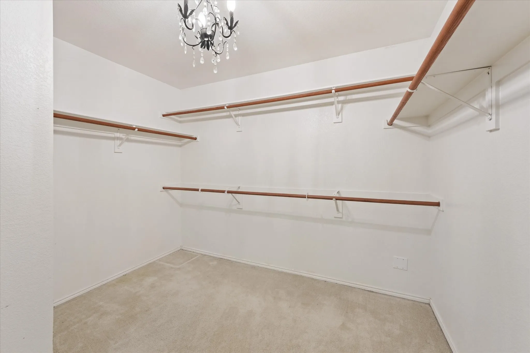 Expansive walk in closet in the primary with decorative lighting.