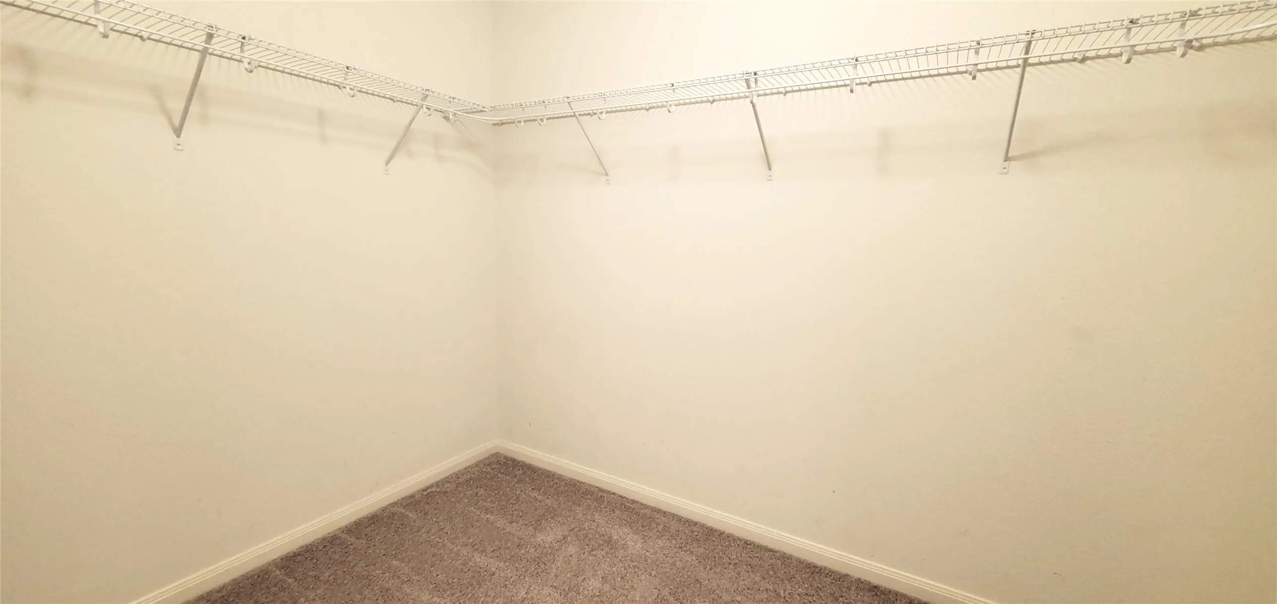 Single Family Residence For Rent in Collin County , 1314 Shumard Drive, Princeton, Texas 75407, 3 Bedroom, 2 Bathroom, 2 Garage spaces, 1,625 Sqft, built in 2016, mls#21356185, Real Estate Agent in Princeton, Homes For Rent in Collin county, Homes For Rent in Princeton, Realtor in Princeton Texas, Real Estate Brokerage Independent Realty Texas, Luminita Cordes Realtor