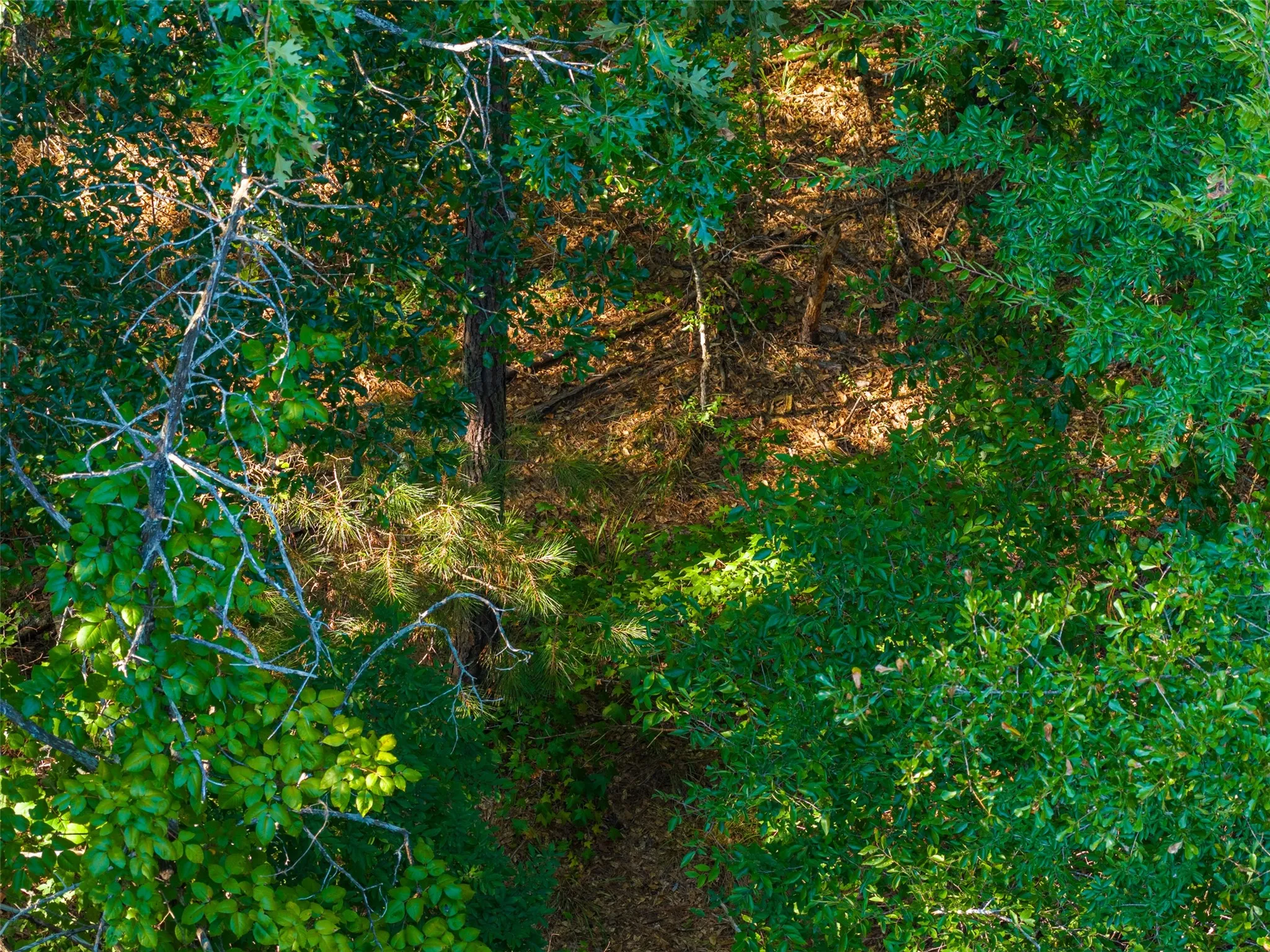 Unimproved Land For Sale in Henderson County , 0 County Road 3302, Brownsboro, Texas 75756, 0, 0, Garage spaces, 0 Sqft, built in 0, Price $625,000, mls#21356189, Real Estate Agent in Brownsboro, Homes For Sale in Henderson county, Homes For Sale in Brownsboro, Realtor in Brownsboro Texas, Real Estate Brokerage Independent Realty Texas, Luminita Cordes Realtor