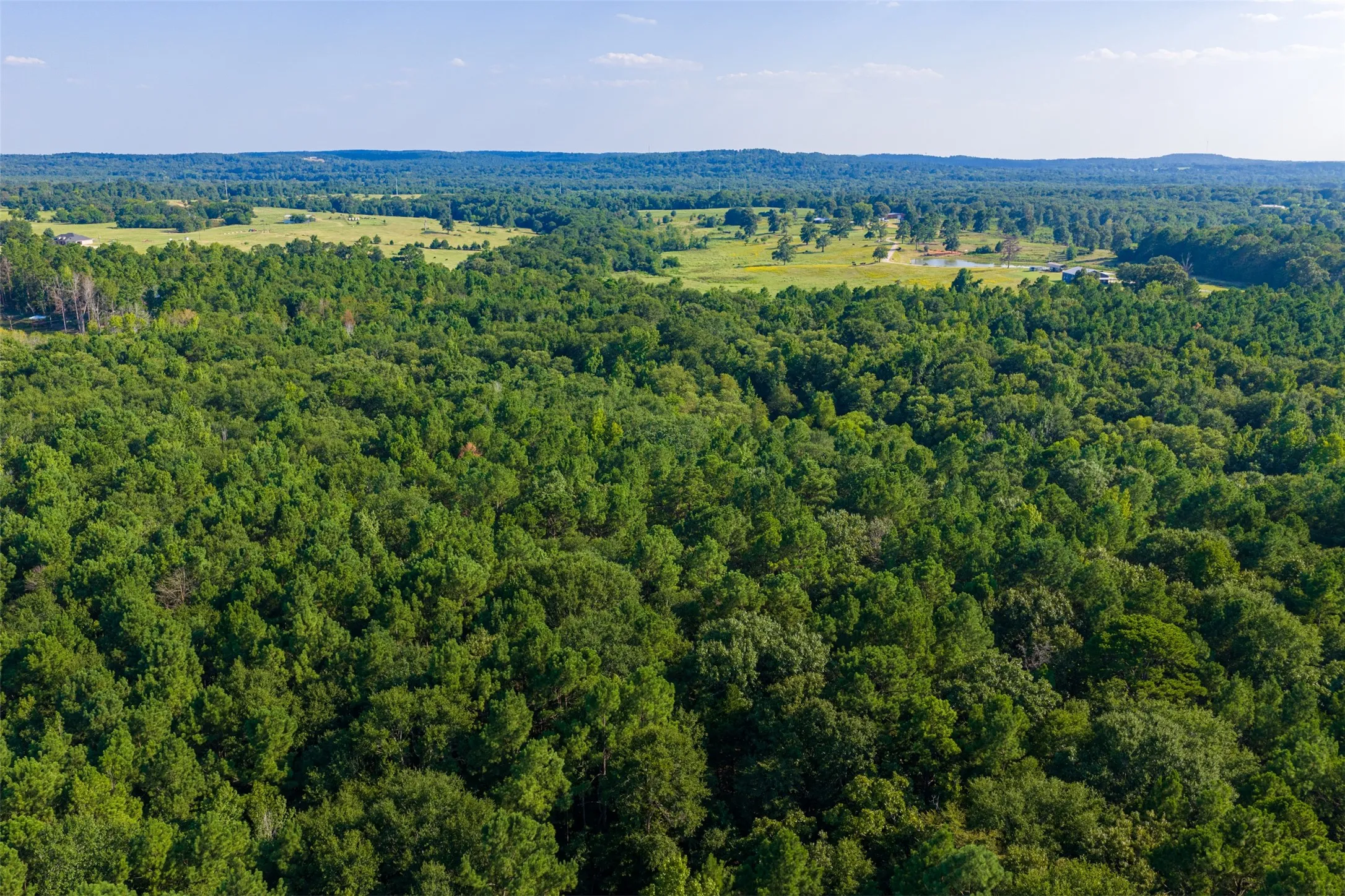 Unimproved Land For Sale in Henderson County , 0 County Road 3302, Brownsboro, Texas 75756, 0, 0, Garage spaces, 0 Sqft, built in 0, Price $625,000, mls#21356189, Real Estate Agent in Brownsboro, Homes For Sale in Henderson county, Homes For Sale in Brownsboro, Realtor in Brownsboro Texas, Real Estate Brokerage Independent Realty Texas, Luminita Cordes Realtor