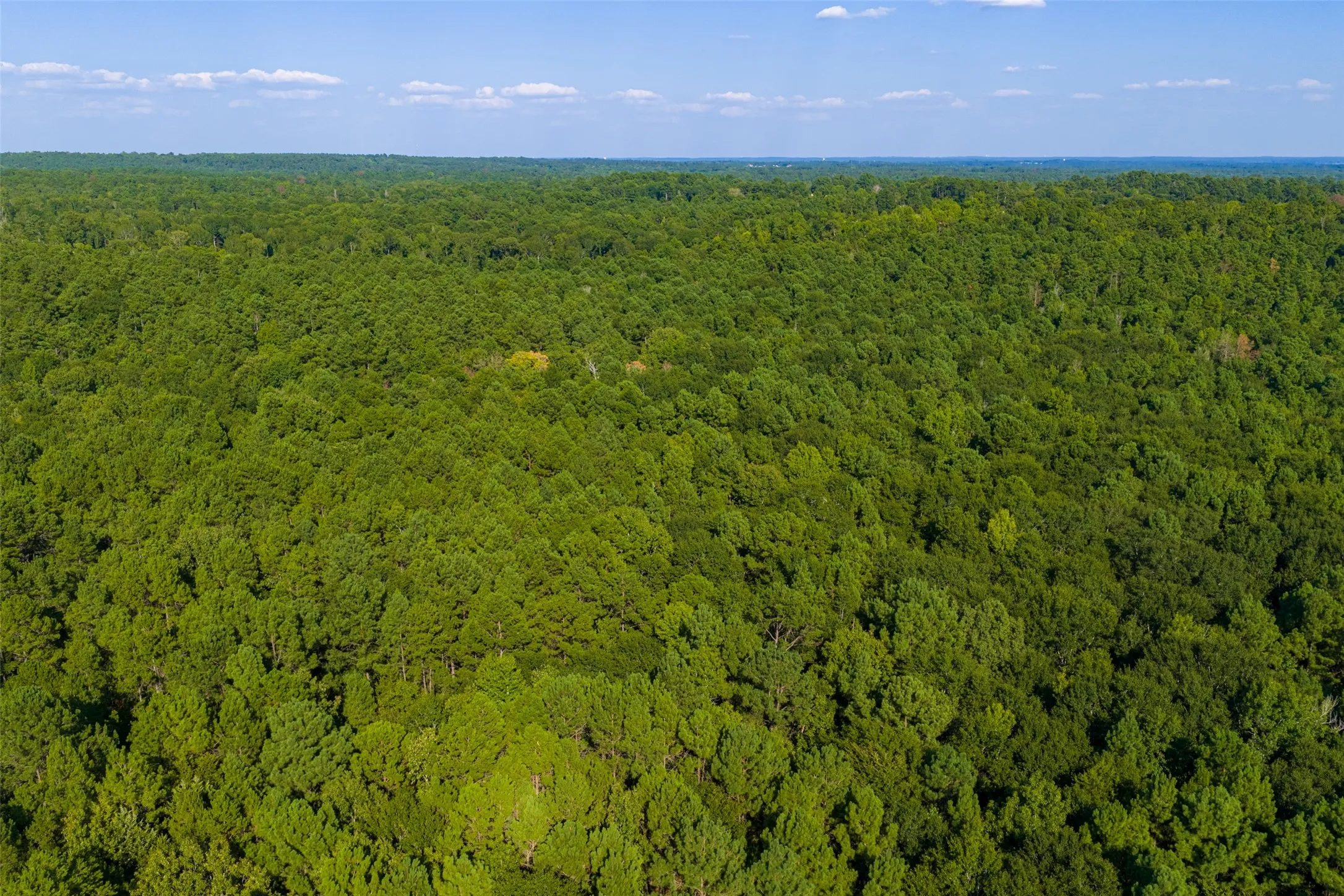 Unimproved Land For Sale in Henderson County , 0 County Road 3302, Brownsboro, Texas 75756, 0, 0, Garage spaces, 0 Sqft, built in 0, Price $625,000, mls#21356189, Real Estate Agent in Brownsboro, Homes For Sale in Henderson county, Homes For Sale in Brownsboro, Realtor in Brownsboro Texas, Real Estate Brokerage Independent Realty Texas, Luminita Cordes Realtor
