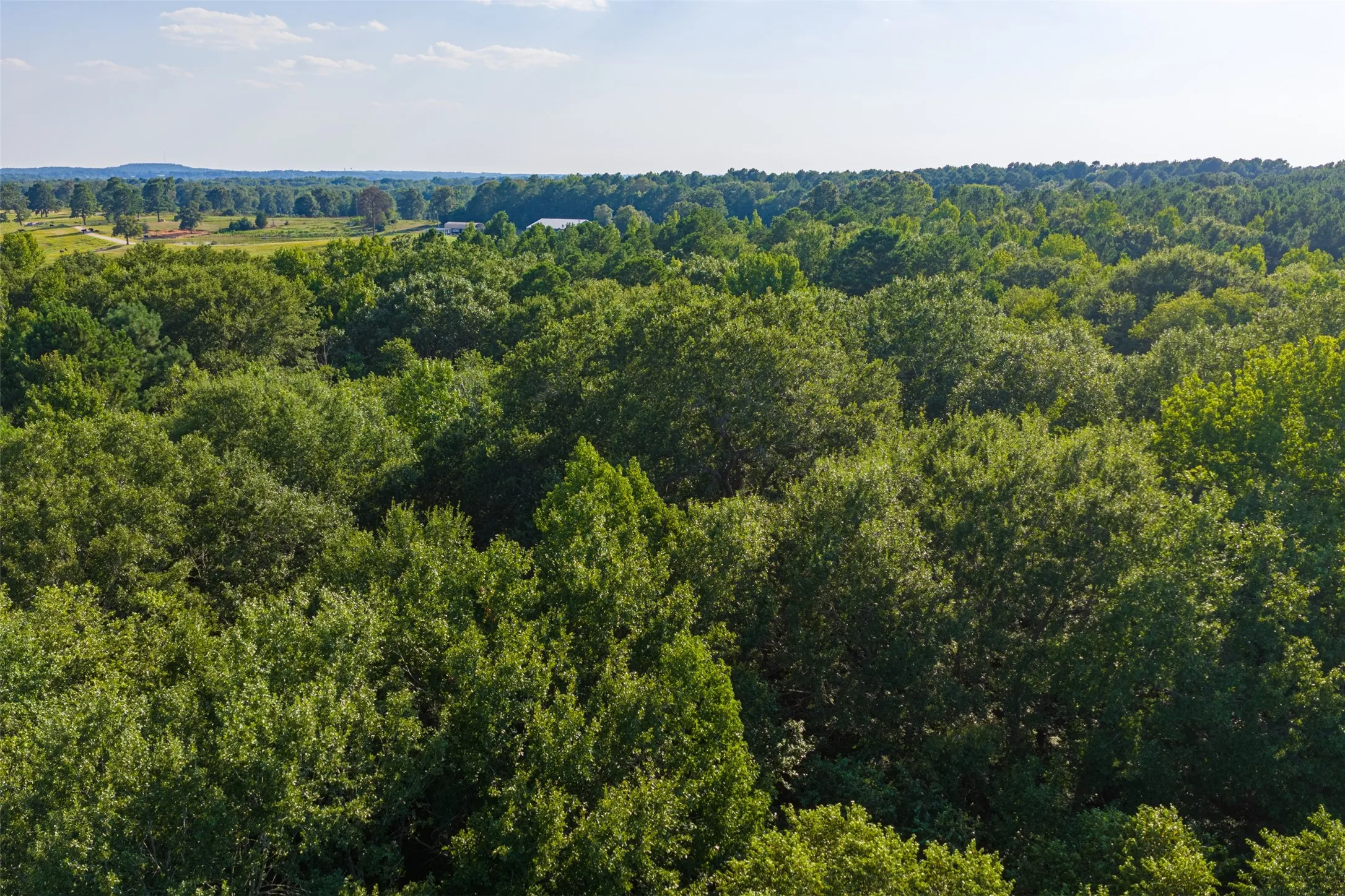 Unimproved Land For Sale in Henderson County , 0 County Road 3302, Brownsboro, Texas 75756, 0, 0, Garage spaces, 0 Sqft, built in 0, Price $625,000, mls#21356189, Real Estate Agent in Brownsboro, Homes For Sale in Henderson county, Homes For Sale in Brownsboro, Realtor in Brownsboro Texas, Real Estate Brokerage Independent Realty Texas, Luminita Cordes Realtor