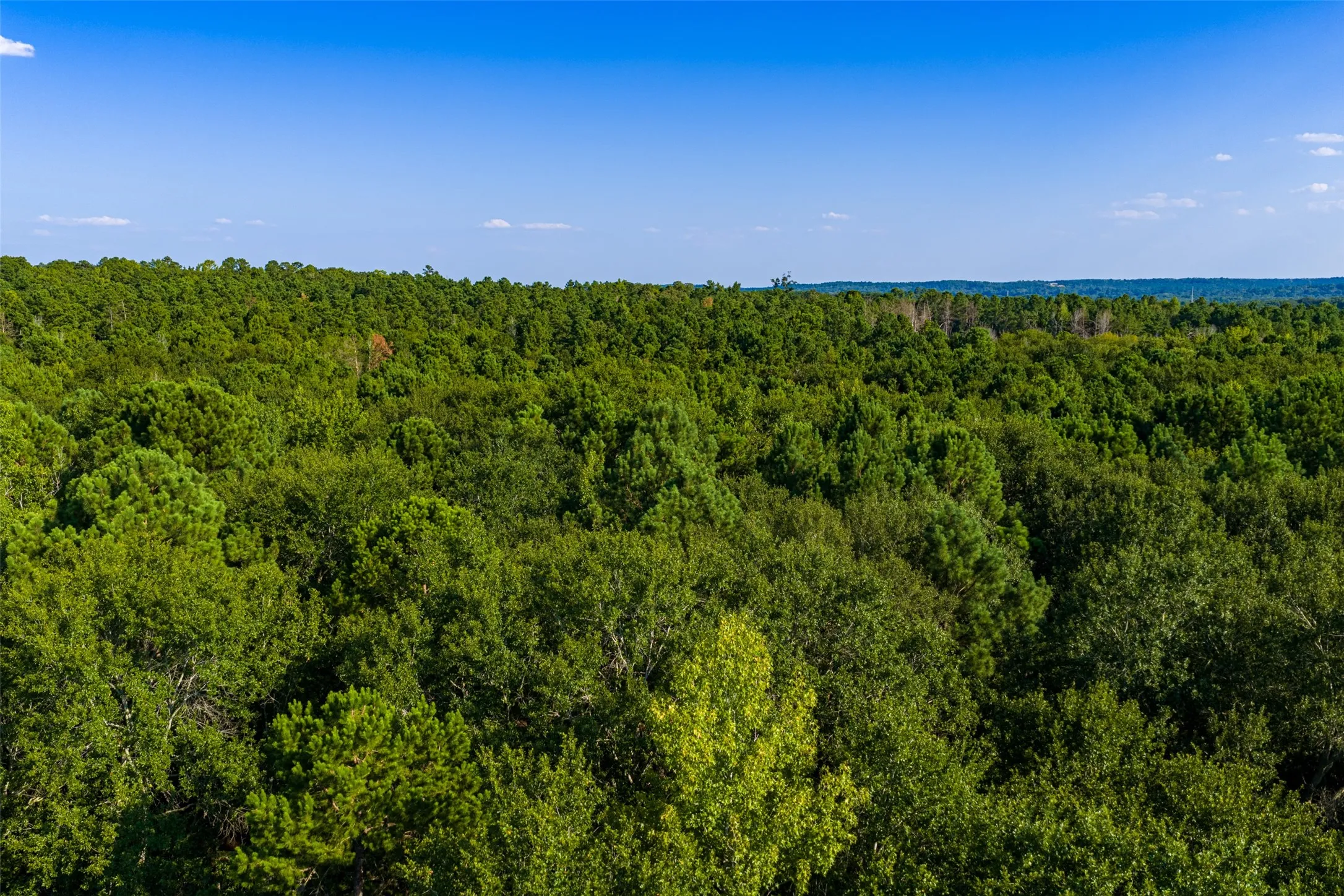 Unimproved Land For Sale in Henderson County , 0 County Road 3302, Brownsboro, Texas 75756, 0, 0, Garage spaces, 0 Sqft, built in 0, Price $625,000, mls#21356189, Real Estate Agent in Brownsboro, Homes For Sale in Henderson county, Homes For Sale in Brownsboro, Realtor in Brownsboro Texas, Real Estate Brokerage Independent Realty Texas, Luminita Cordes Realtor