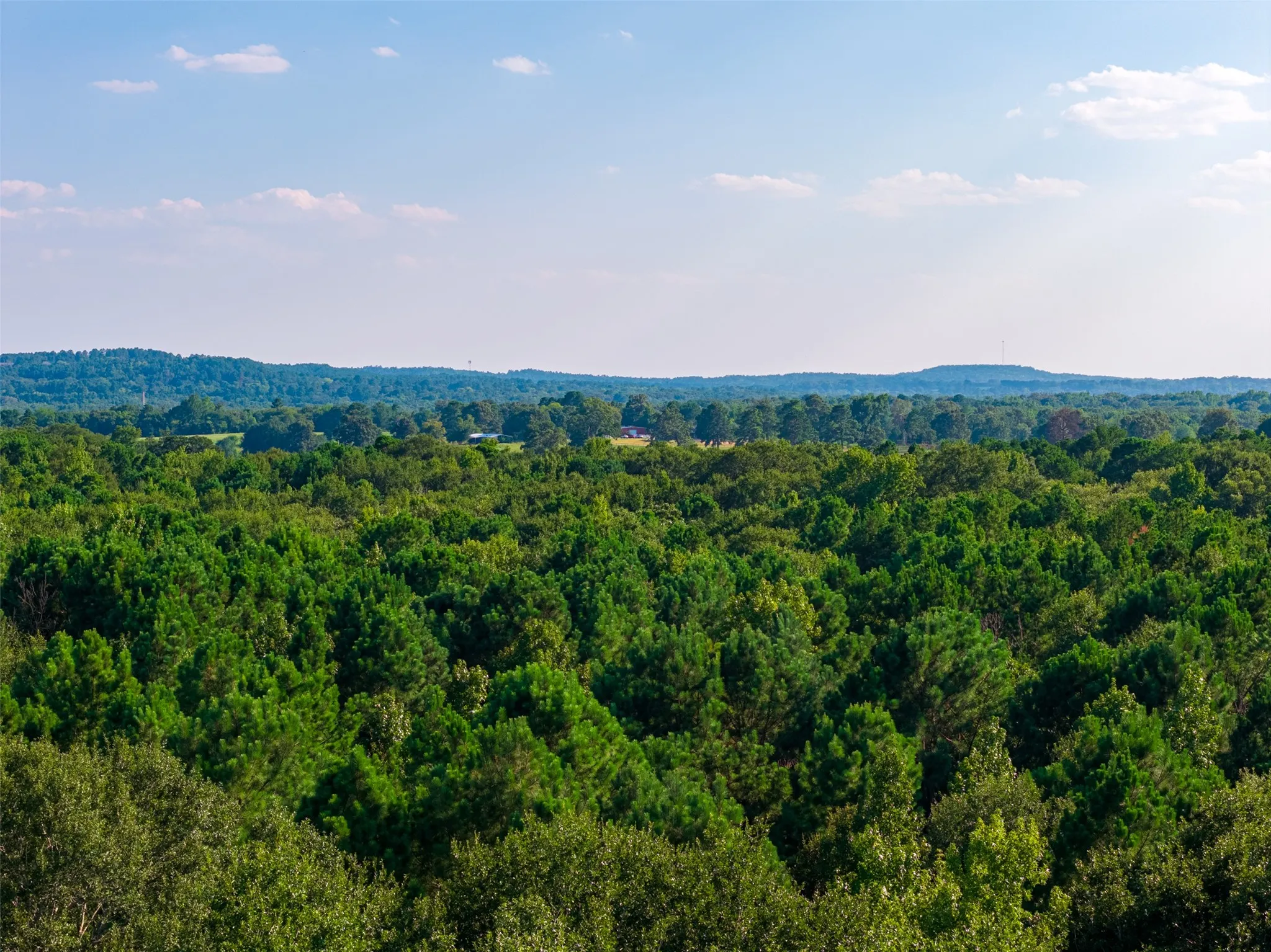 Unimproved Land For Sale in Henderson County , 0 County Road 3302, Brownsboro, Texas 75756, 0, 0, Garage spaces, 0 Sqft, built in 0, Price $625,000, mls#21356189, Real Estate Agent in Brownsboro, Homes For Sale in Henderson county, Homes For Sale in Brownsboro, Realtor in Brownsboro Texas, Real Estate Brokerage Independent Realty Texas, Luminita Cordes Realtor