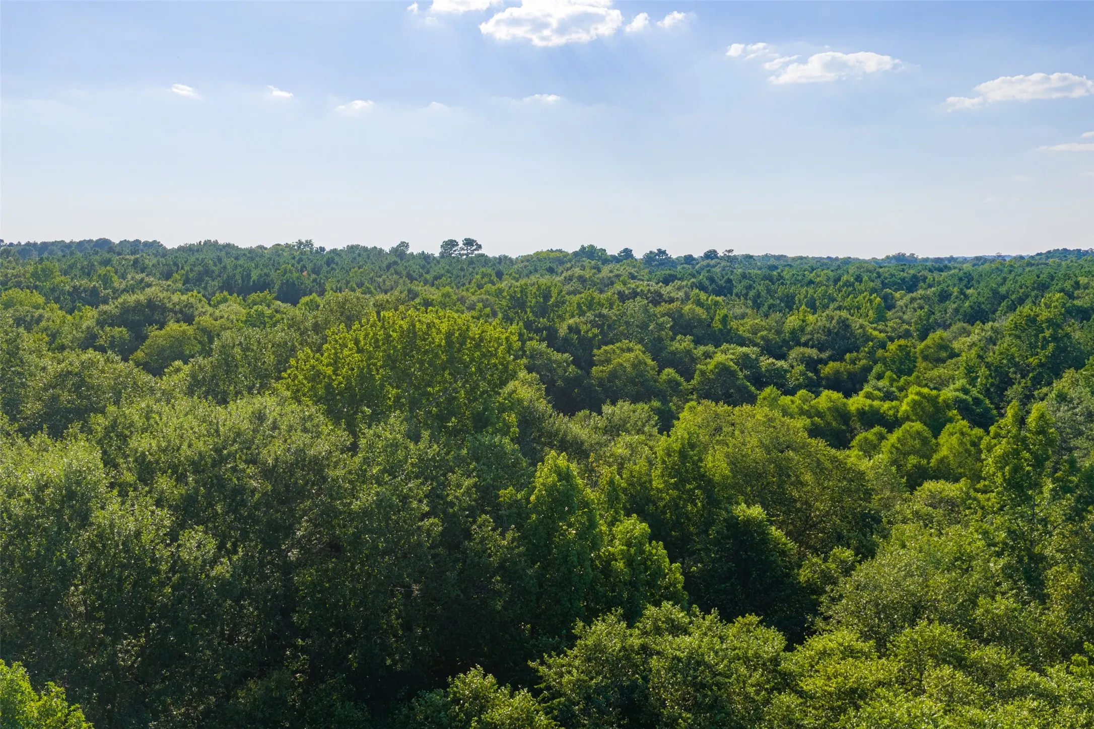 Unimproved Land For Sale in Henderson County , 0 County Road 3302, Brownsboro, Texas 75756, 0, 0, Garage spaces, 0 Sqft, built in 0, Price $625,000, mls#21356189, Real Estate Agent in Brownsboro, Homes For Sale in Henderson county, Homes For Sale in Brownsboro, Realtor in Brownsboro Texas, Real Estate Brokerage Independent Realty Texas, Luminita Cordes Realtor