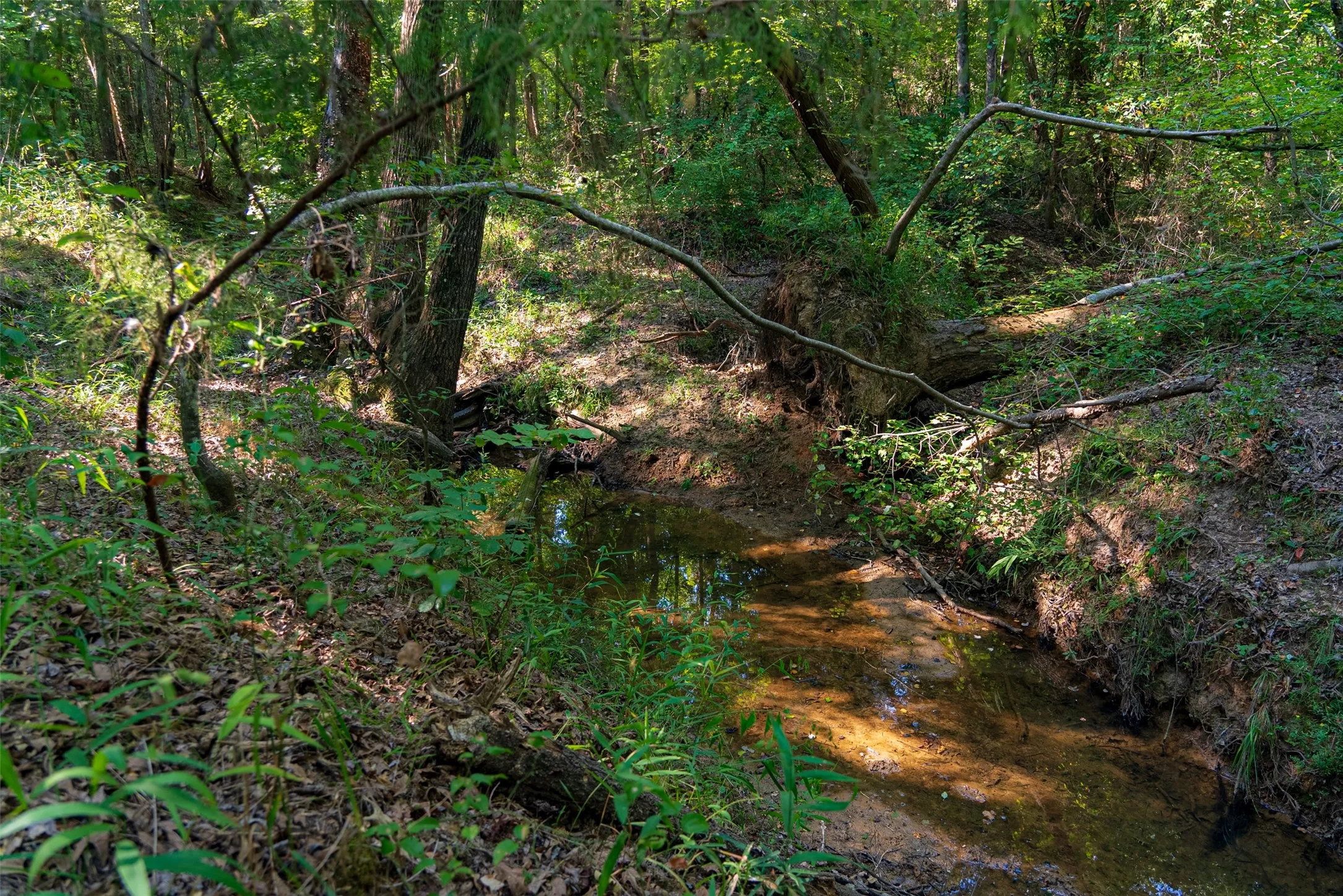 Unimproved Land For Sale in Henderson County , 0 County Road 3302, Brownsboro, Texas 75756, 0, 0, Garage spaces, 0 Sqft, built in 0, Price $625,000, mls#21356189, Real Estate Agent in Brownsboro, Homes For Sale in Henderson county, Homes For Sale in Brownsboro, Realtor in Brownsboro Texas, Real Estate Brokerage Independent Realty Texas, Luminita Cordes Realtor