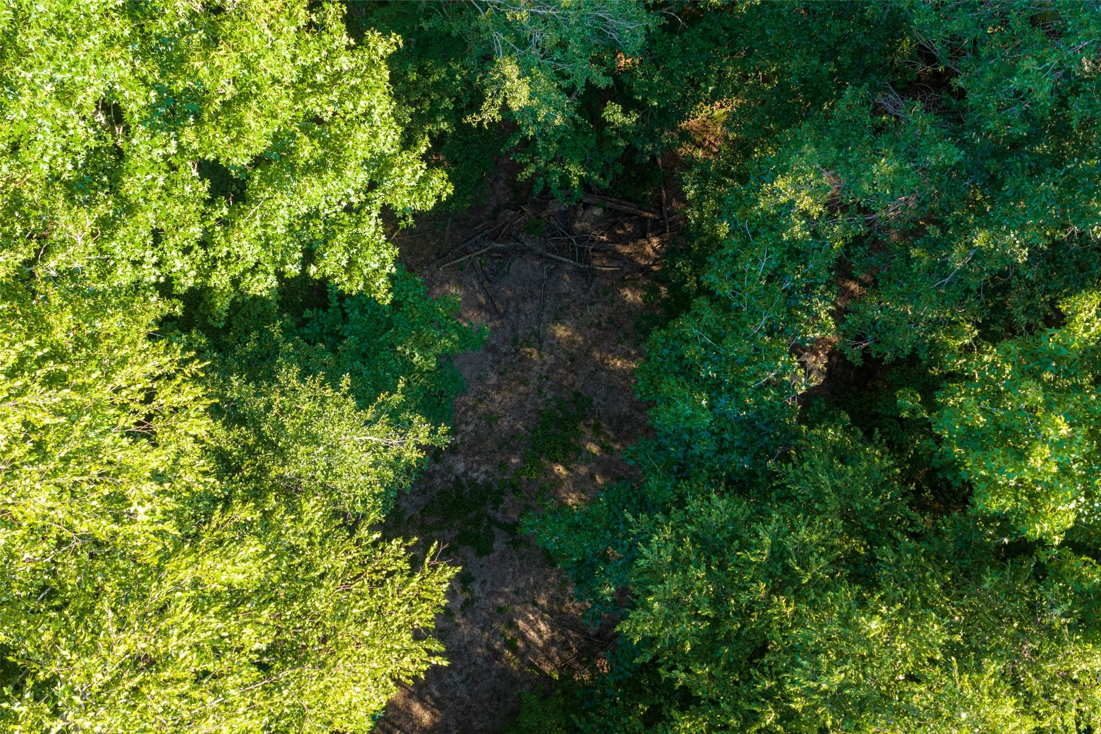 Unimproved Land For Sale in Henderson County , 0 County Road 3302, Brownsboro, Texas 75756, 0, 0, Garage spaces, 0 Sqft, built in 0, Price $625,000, mls#21356189, Real Estate Agent in Brownsboro, Homes For Sale in Henderson county, Homes For Sale in Brownsboro, Realtor in Brownsboro Texas, Real Estate Brokerage Independent Realty Texas, Luminita Cordes Realtor