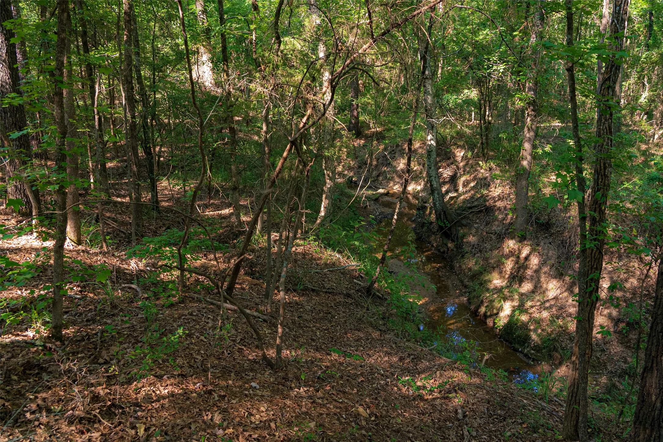 Unimproved Land For Sale in Henderson County , 0 County Road 3302, Brownsboro, Texas 75756, 0, 0, Garage spaces, 0 Sqft, built in 0, Price $625,000, mls#21356189, Real Estate Agent in Brownsboro, Homes For Sale in Henderson county, Homes For Sale in Brownsboro, Realtor in Brownsboro Texas, Real Estate Brokerage Independent Realty Texas, Luminita Cordes Realtor