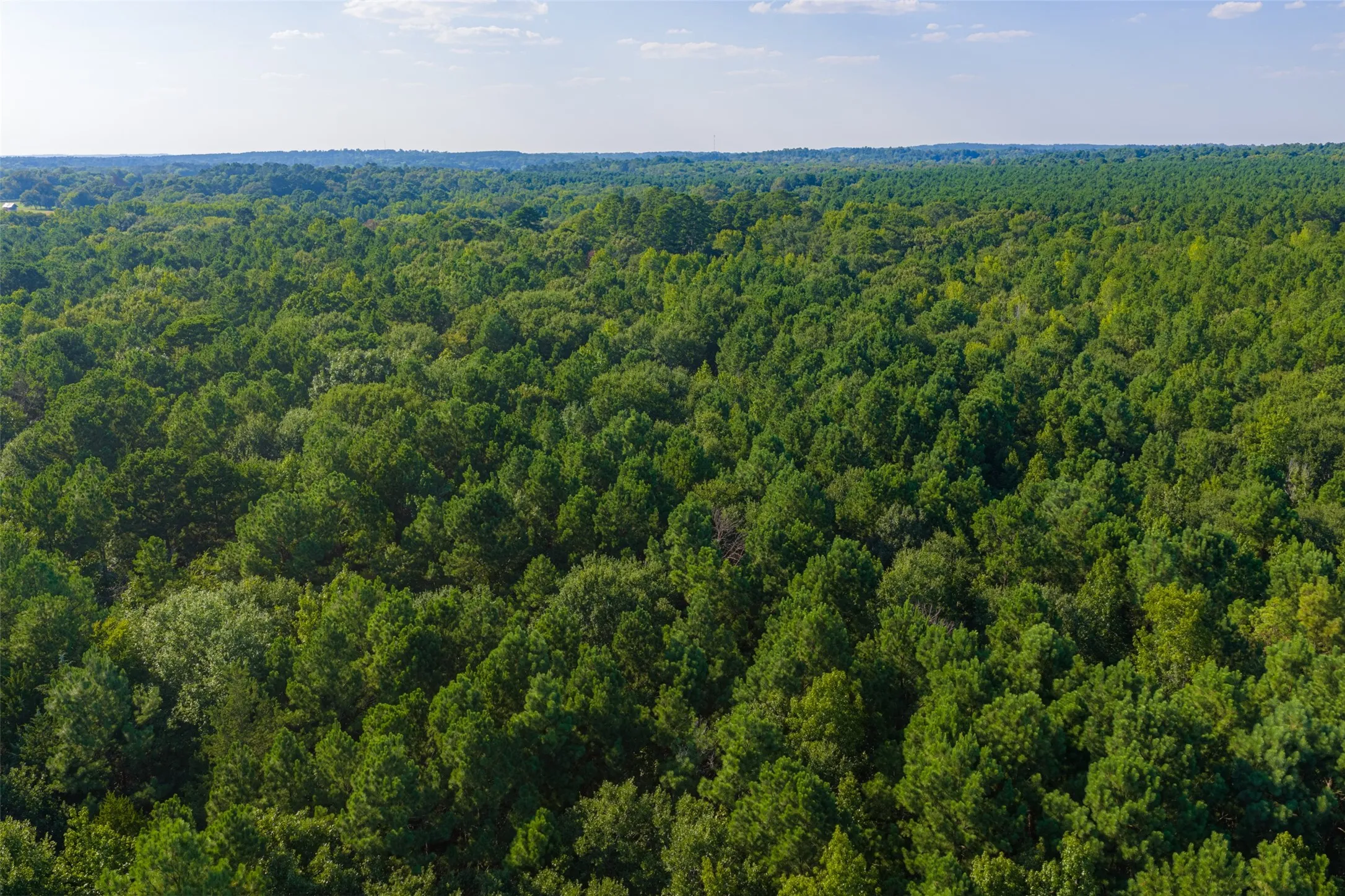 Unimproved Land For Sale in Henderson County , 0 County Road 3302, Brownsboro, Texas 75756, 0, 0, Garage spaces, 0 Sqft, built in 0, Price $625,000, mls#21356189, Real Estate Agent in Brownsboro, Homes For Sale in Henderson county, Homes For Sale in Brownsboro, Realtor in Brownsboro Texas, Real Estate Brokerage Independent Realty Texas, Luminita Cordes Realtor
