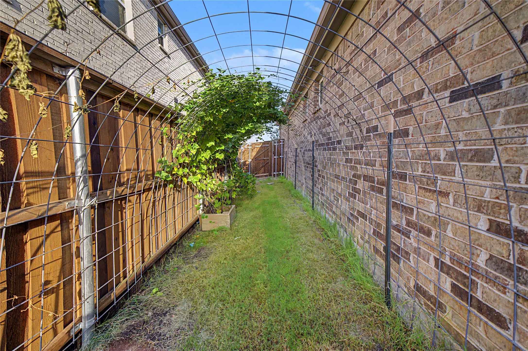 Arched metal trellises create a structured pathway alongside a brick exterior and wood fencing