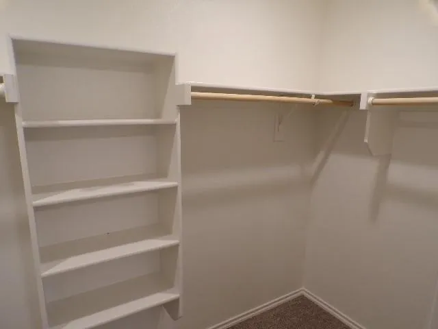 Built-in white shelving, wood-finish hanging rods, and neutral carpeting