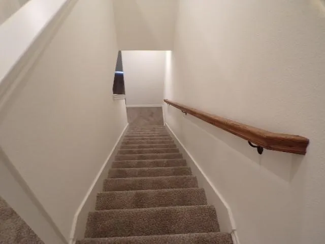 Carpeted stairs with a natural wood-finish handrail