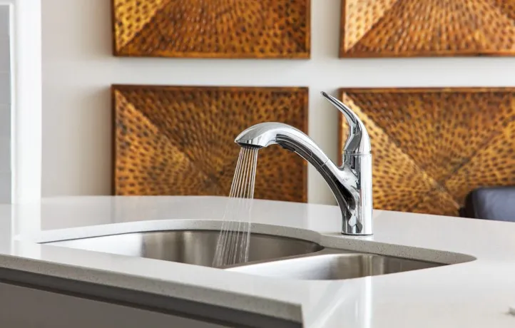 Stainless steel double-basin sink with a chrome gooseneck faucet