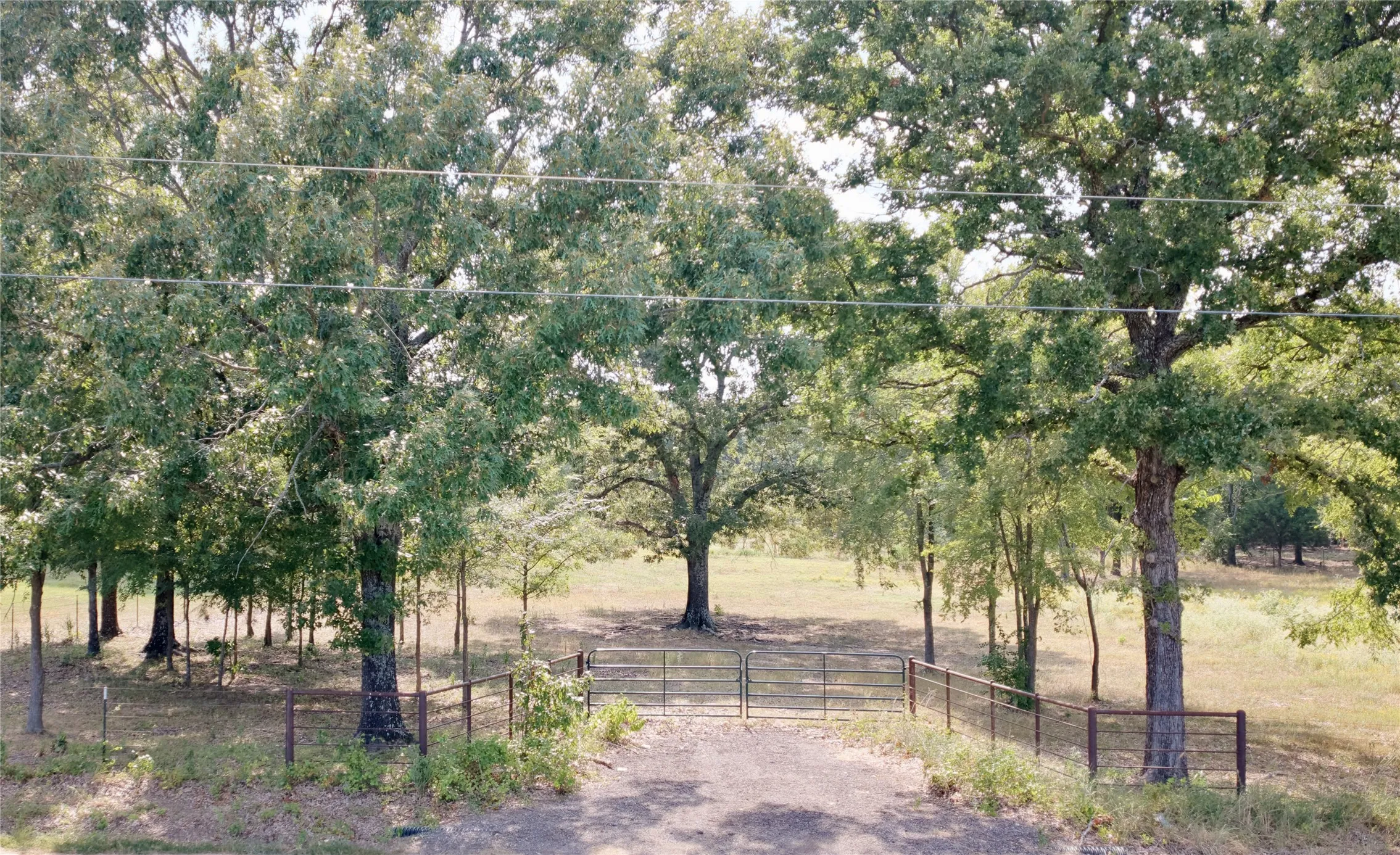 Unimproved Land For Sale in Rains County , TBD Cooper Road, Alba, Texas 75410, 0, 0, Garage spaces, 0 Sqft, built in 0, mls#21356271, Real Estate Agent in Alba, Homes For Sale in Rains county, Homes For Sale in Alba, Realtor in Alba Texas, Real Estate Brokerage Independent Realty Texas, Luminita Cordes Realtor