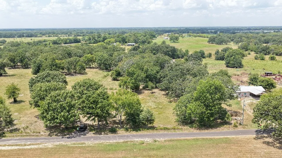 Unimproved Land For Sale in Rains County , TBD Cooper Road, Alba, Texas 75410, 0, 0, Garage spaces, 0 Sqft, built in 0, mls#21356271, Real Estate Agent in Alba, Homes For Sale in Rains county, Homes For Sale in Alba, Realtor in Alba Texas, Real Estate Brokerage Independent Realty Texas, Luminita Cordes Realtor