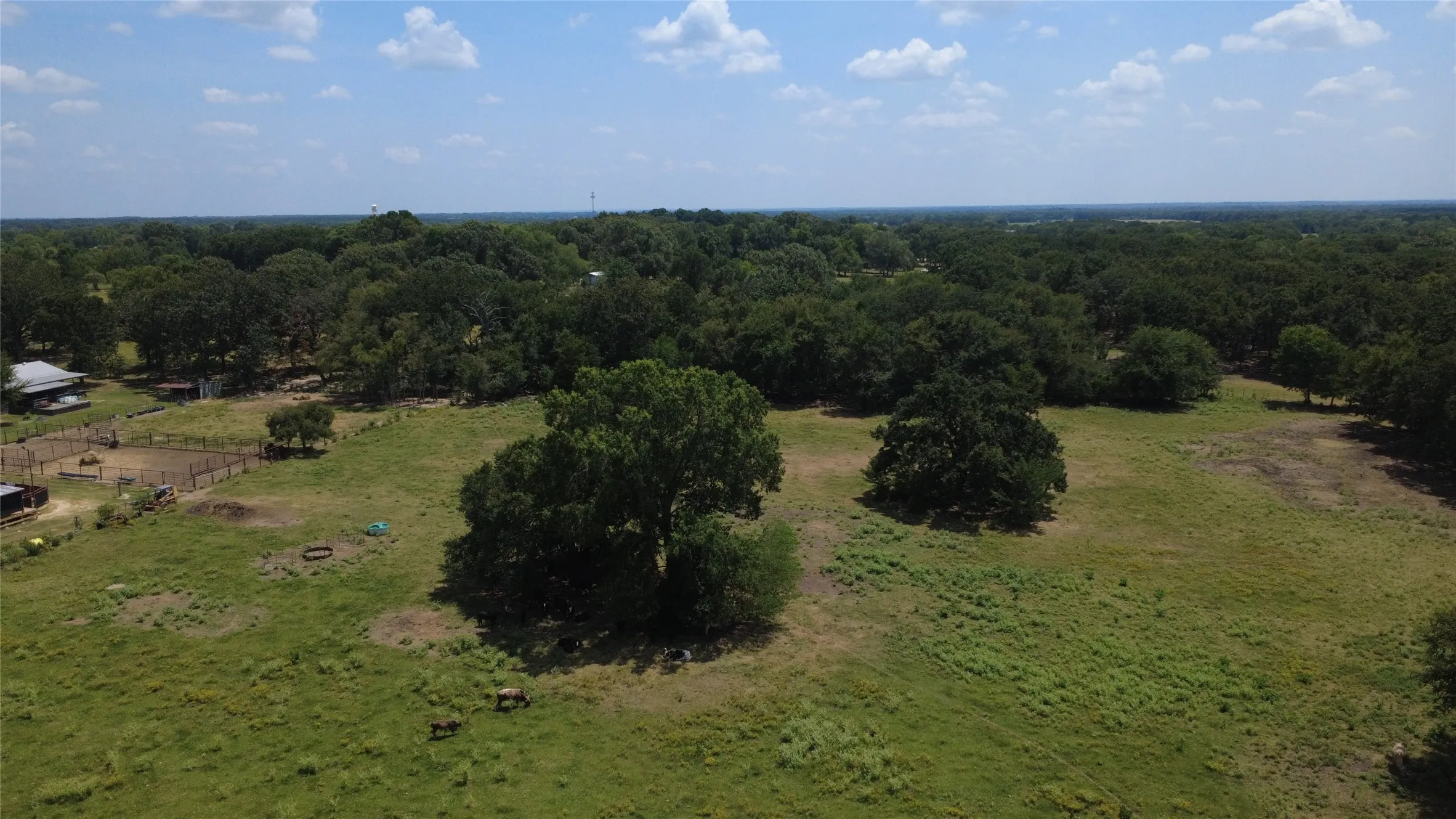 Unimproved Land For Sale in Rains County , TBD Cooper Road, Alba, Texas 75410, 0, 0, Garage spaces, 0 Sqft, built in 0, mls#21356271, Real Estate Agent in Alba, Homes For Sale in Rains county, Homes For Sale in Alba, Realtor in Alba Texas, Real Estate Brokerage Independent Realty Texas, Luminita Cordes Realtor